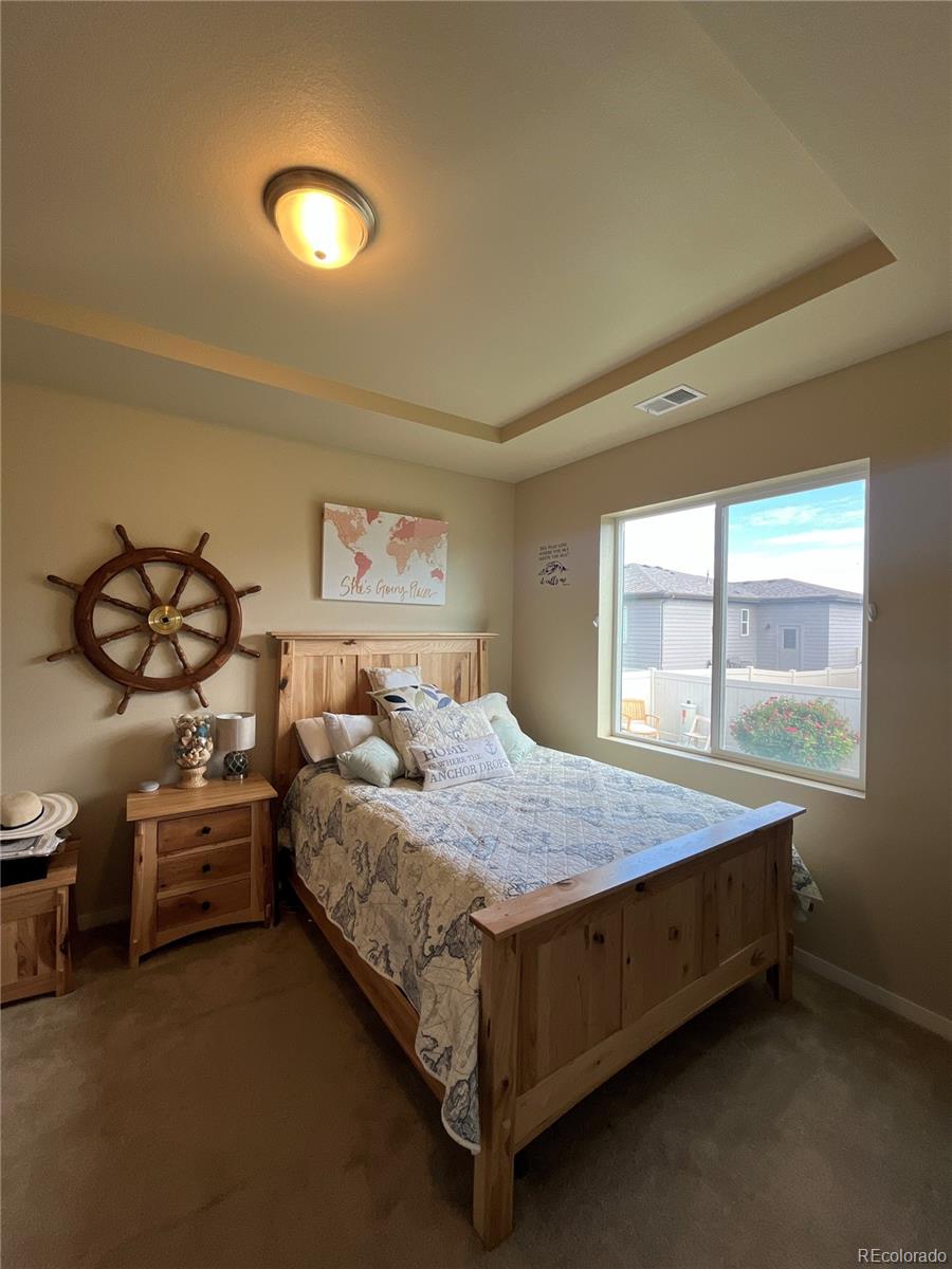 MLS Image #11 for 3892  hackberry street,wellington, Colorado