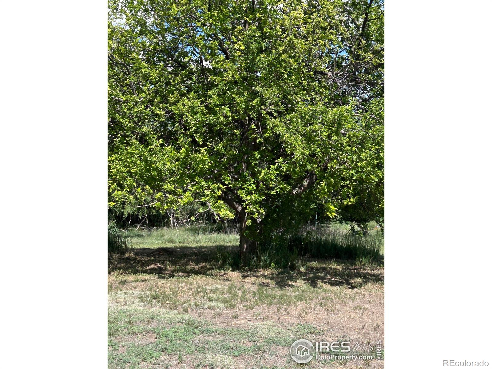 MLS Image #38 for 21378  county road 21 ,fort morgan, Colorado