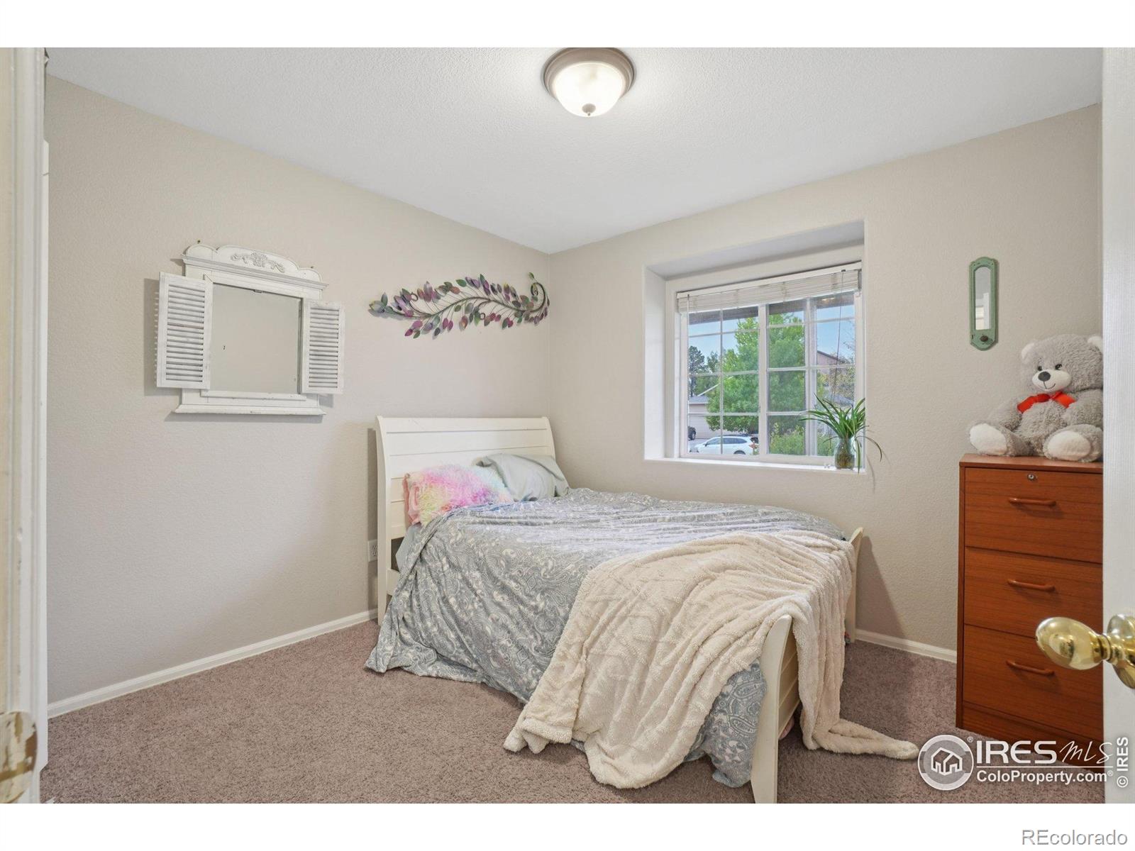 MLS Image #20 for 8721  19th st rd,greeley, Colorado