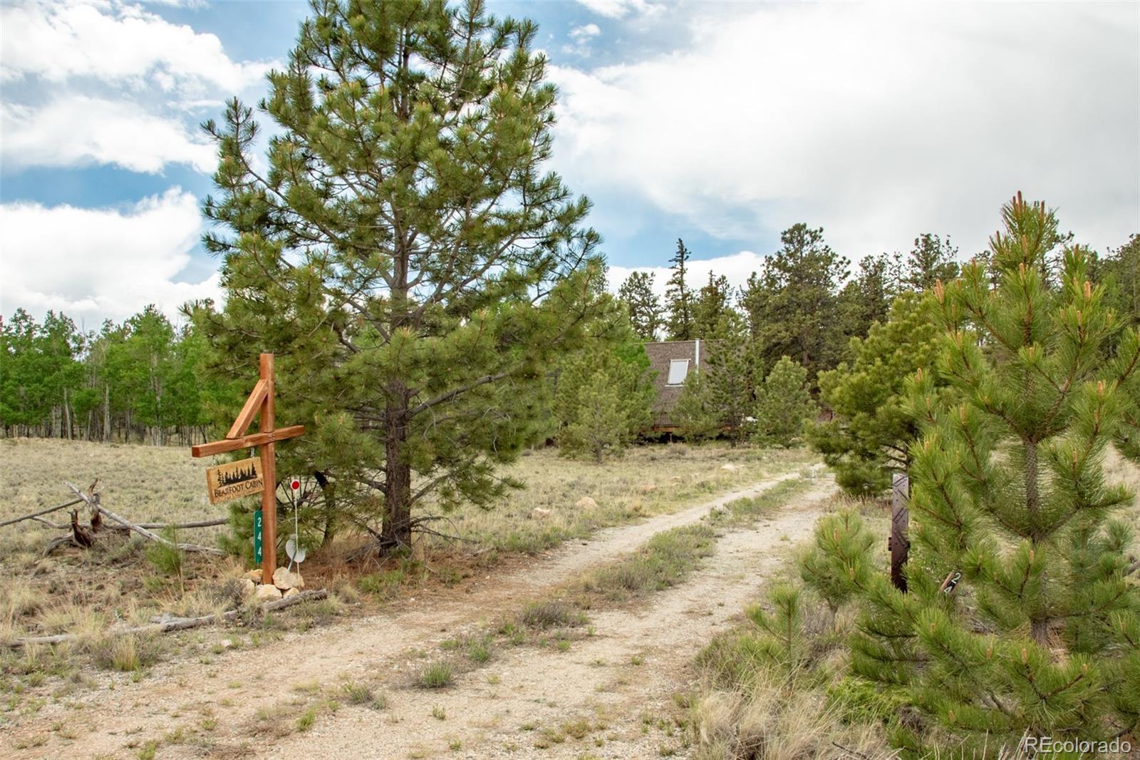 MLS Image #10 for 244  lariat loop,hartsel, Colorado