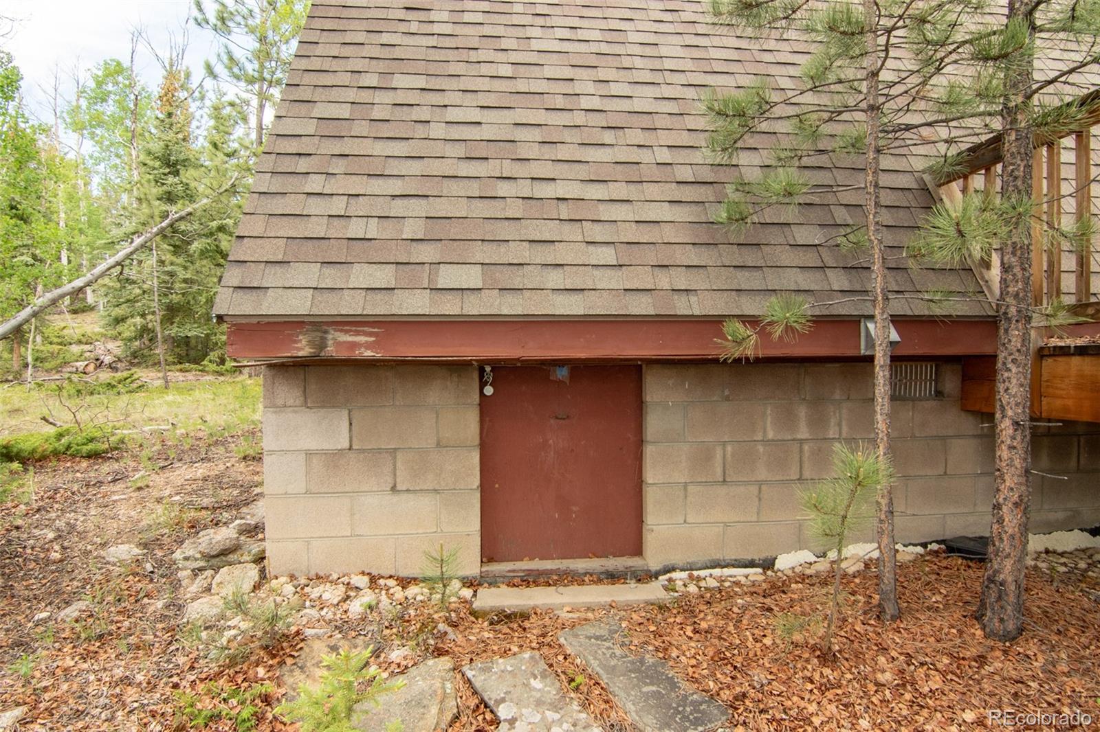 MLS Image #12 for 244  lariat loop,hartsel, Colorado