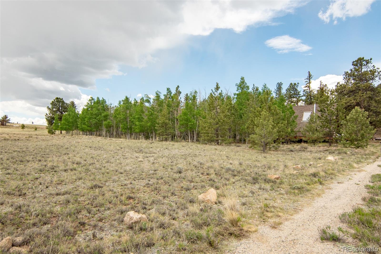 MLS Image #14 for 244  lariat loop,hartsel, Colorado