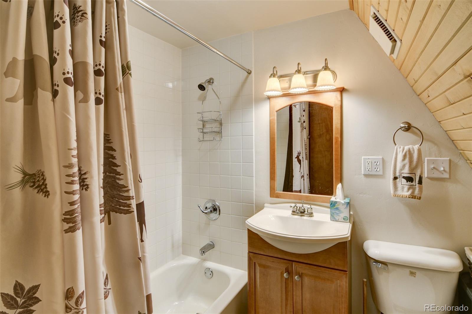 MLS Image #32 for 244  lariat loop,hartsel, Colorado