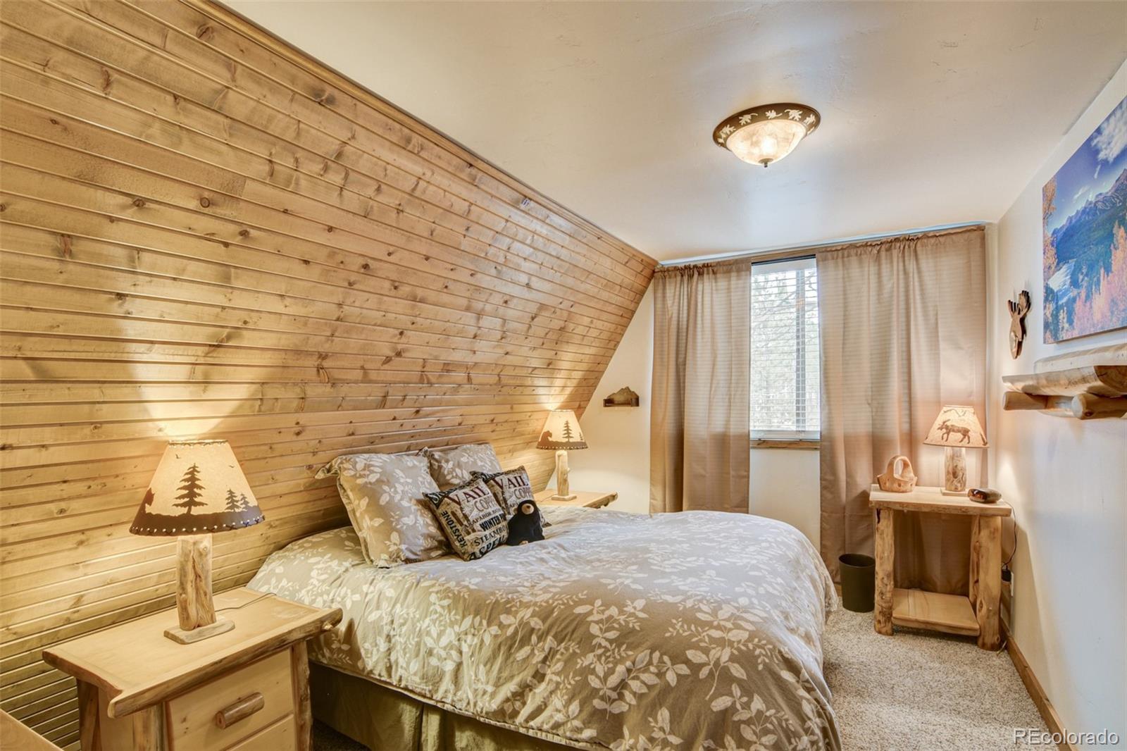 MLS Image #34 for 244  lariat loop,hartsel, Colorado