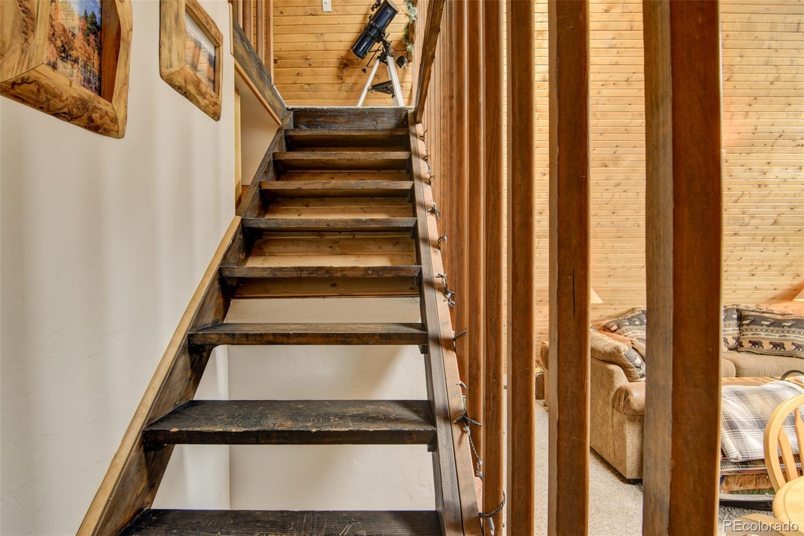 MLS Image #36 for 244  lariat loop,hartsel, Colorado