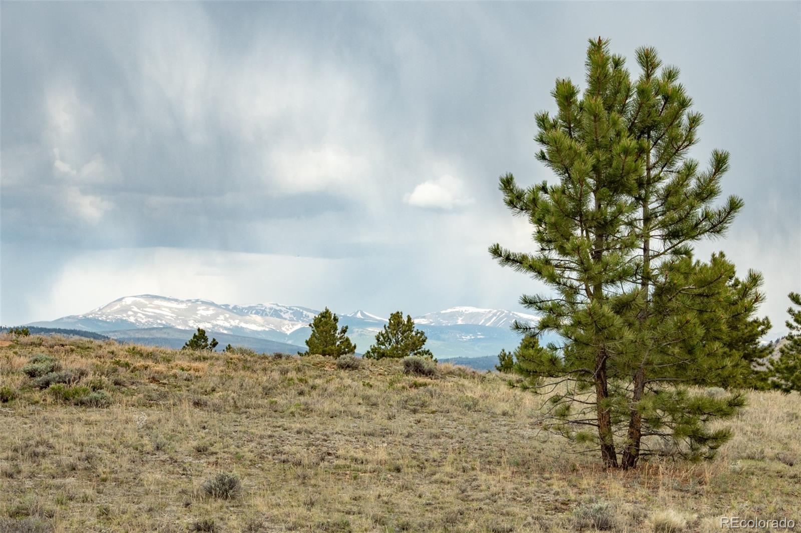 MLS Image #4 for 244  lariat loop,hartsel, Colorado