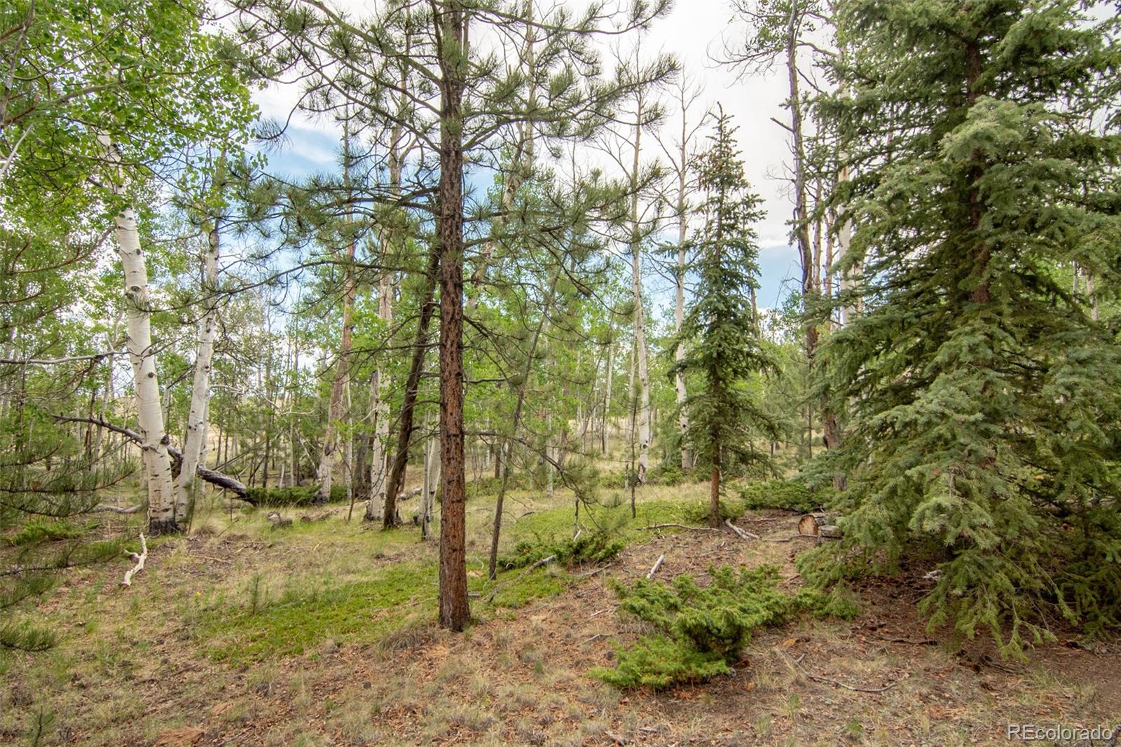 MLS Image #44 for 244  lariat loop,hartsel, Colorado
