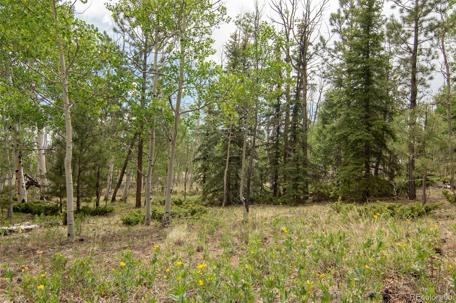 MLS Image #45 for 244  lariat loop,hartsel, Colorado