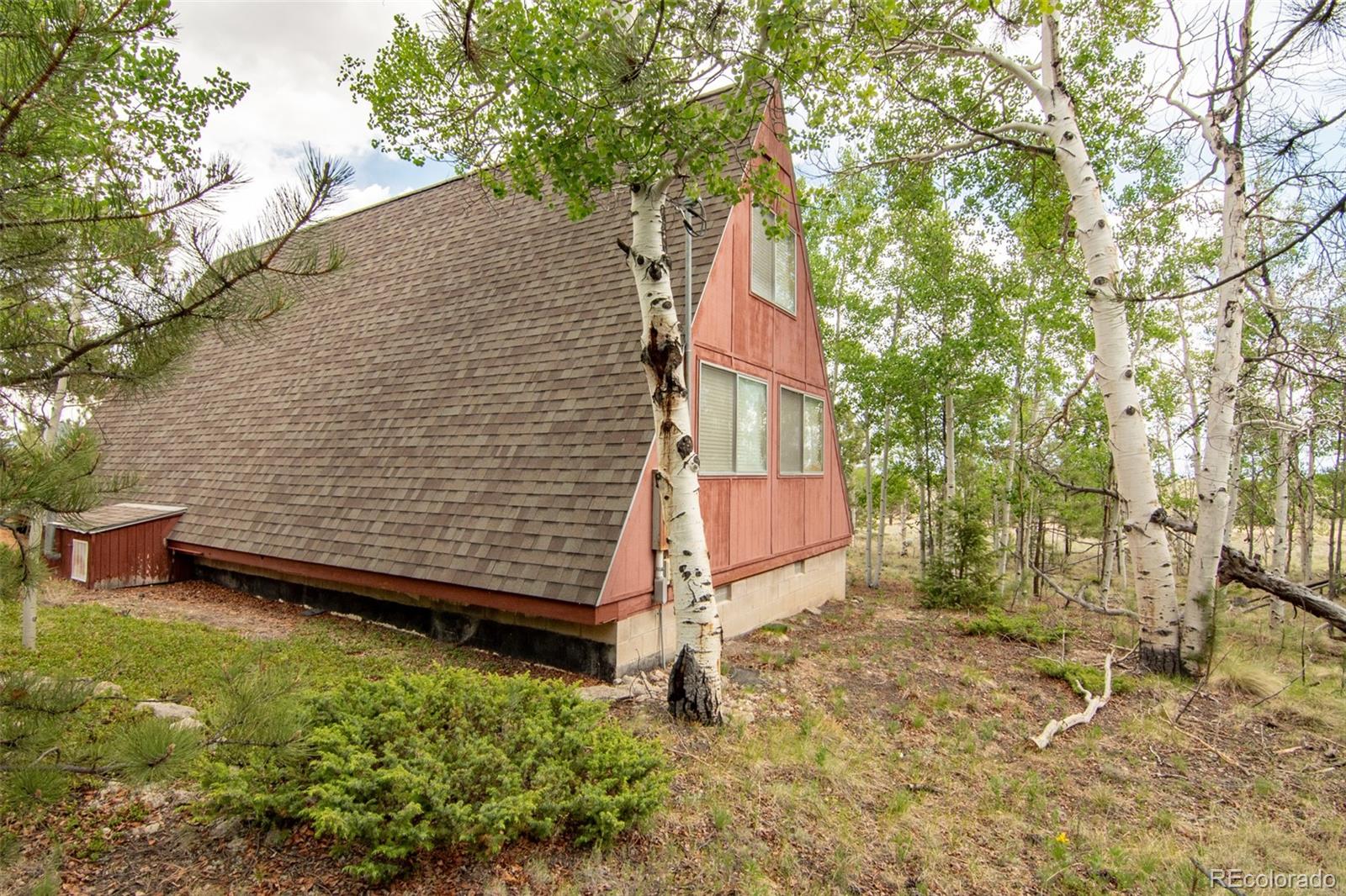 MLS Image #6 for 244  lariat loop,hartsel, Colorado