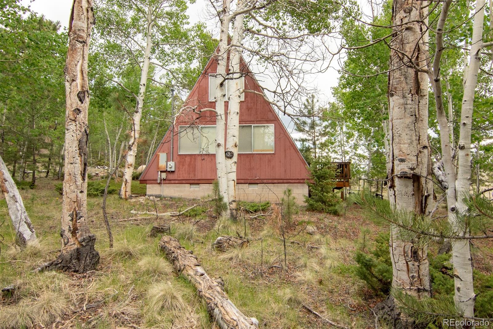 MLS Image #8 for 244  lariat loop,hartsel, Colorado