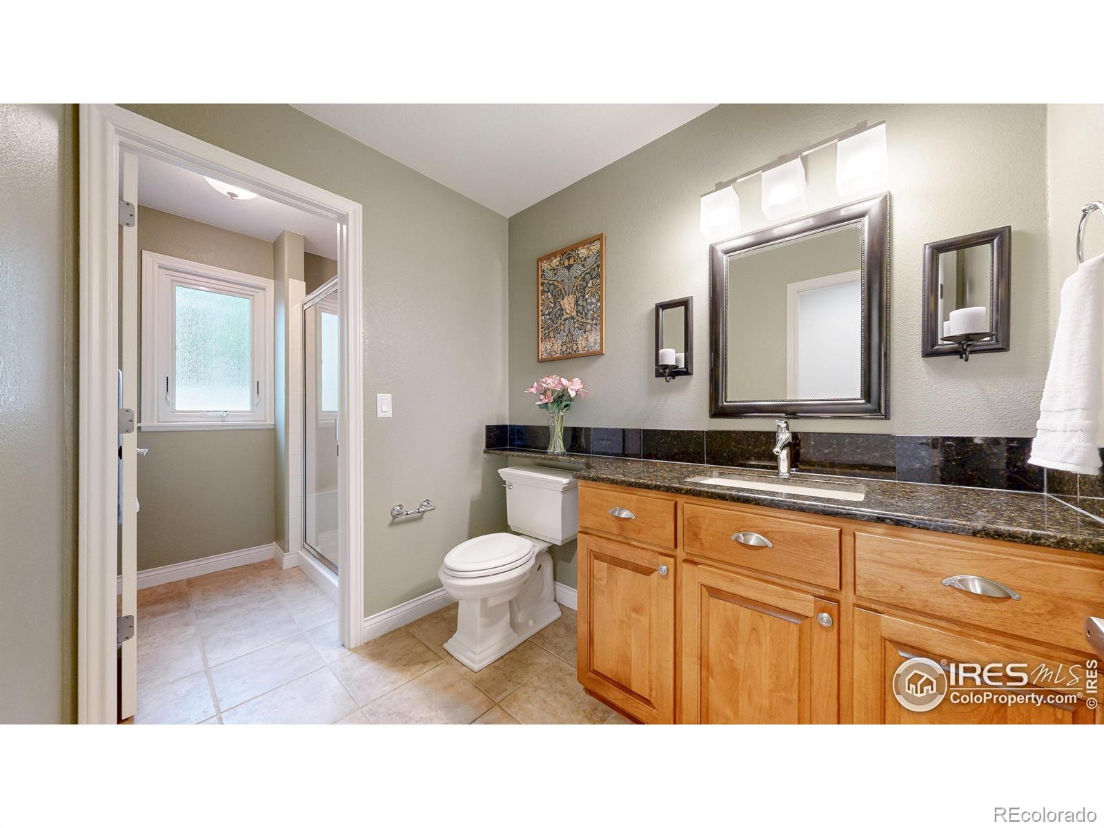 MLS Image #12 for 3527  shallow pond drive,fort collins, Colorado
