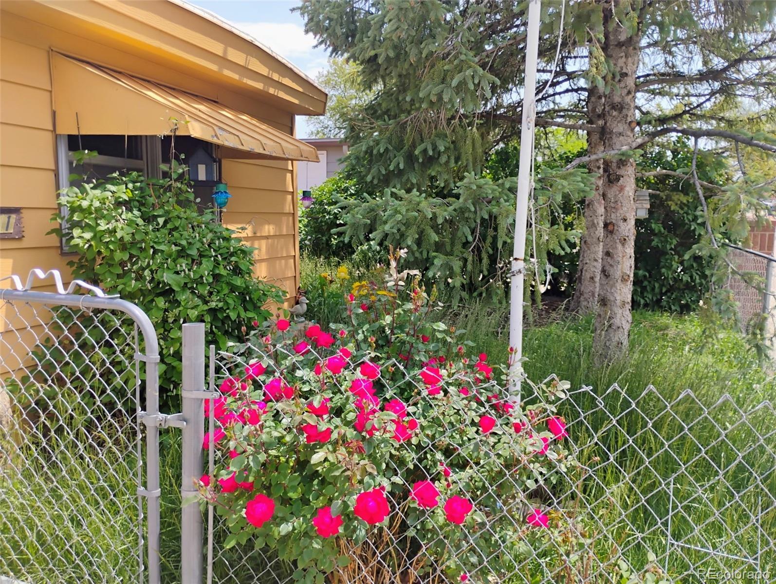 MLS Image #2 for 1011  glen creighton drive,dacono, Colorado