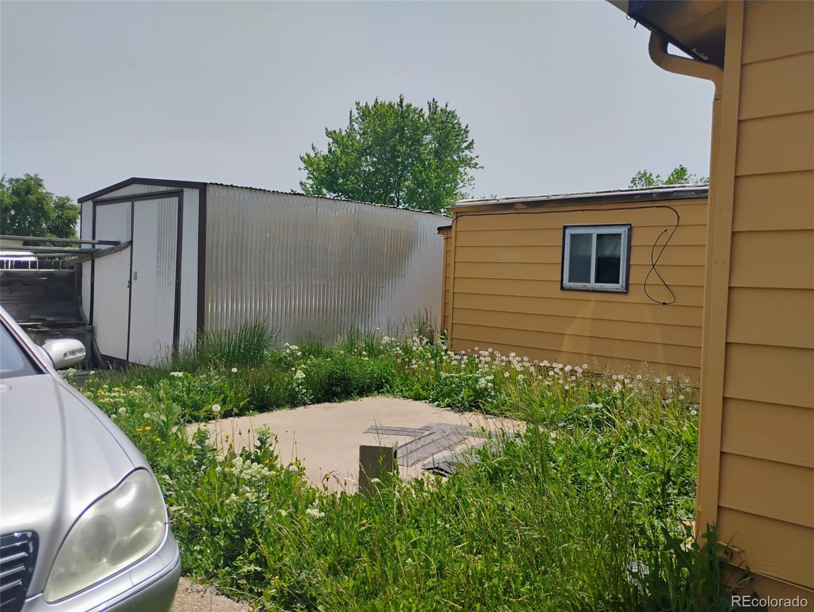 MLS Image #3 for 1011  glen creighton drive,dacono, Colorado