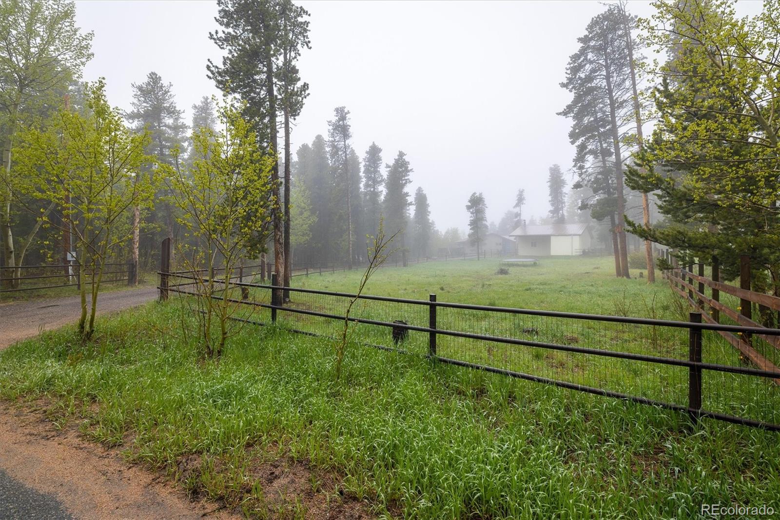 MLS Image #33 for 1194  camp eden road,golden, Colorado