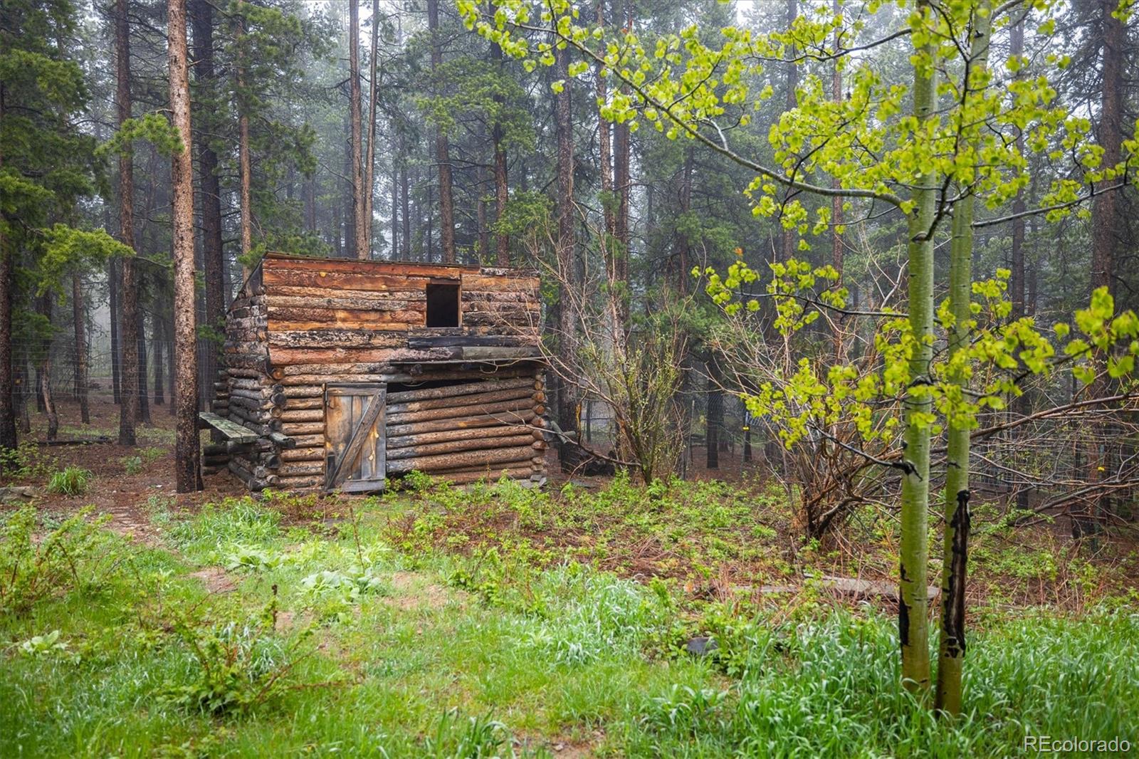 MLS Image #38 for 1194  camp eden road,golden, Colorado