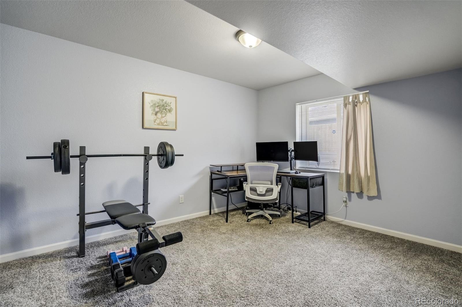 MLS Image #29 for 8060  willowick court,colorado springs, Colorado