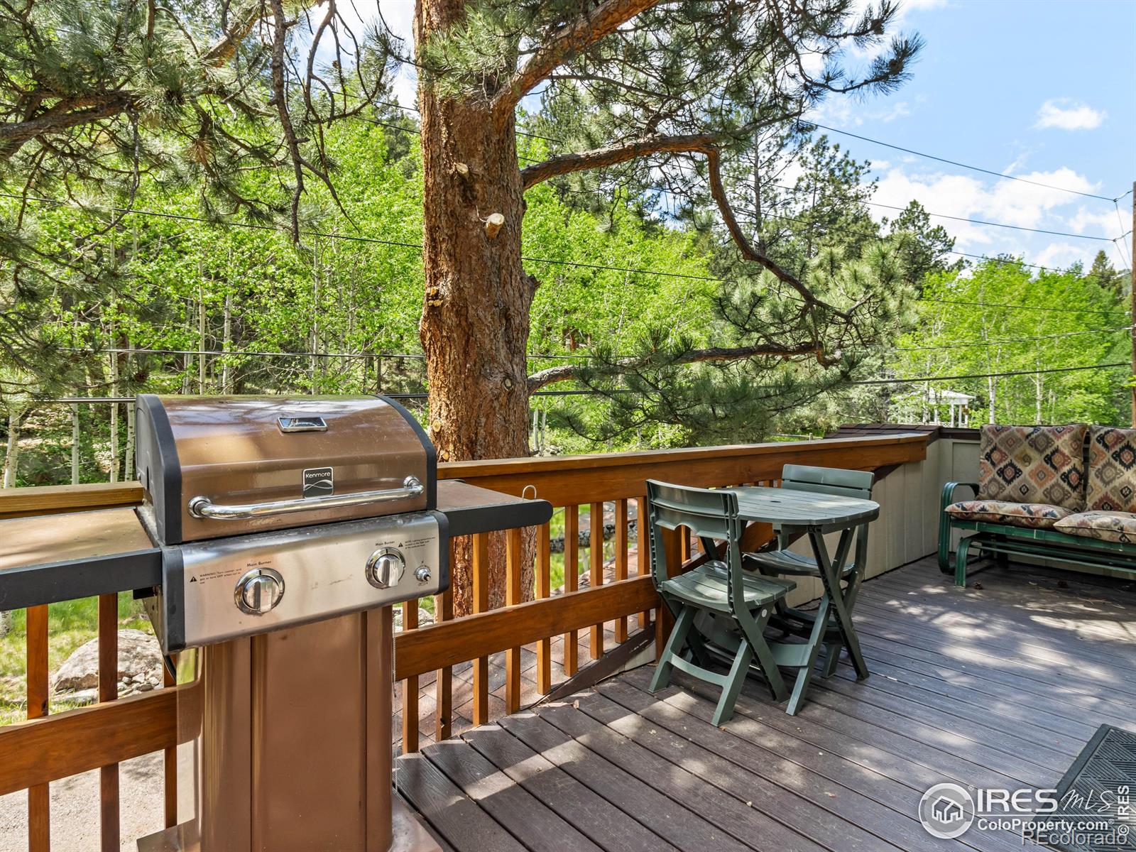MLS Image #22 for 135  canyon river road,drake, Colorado