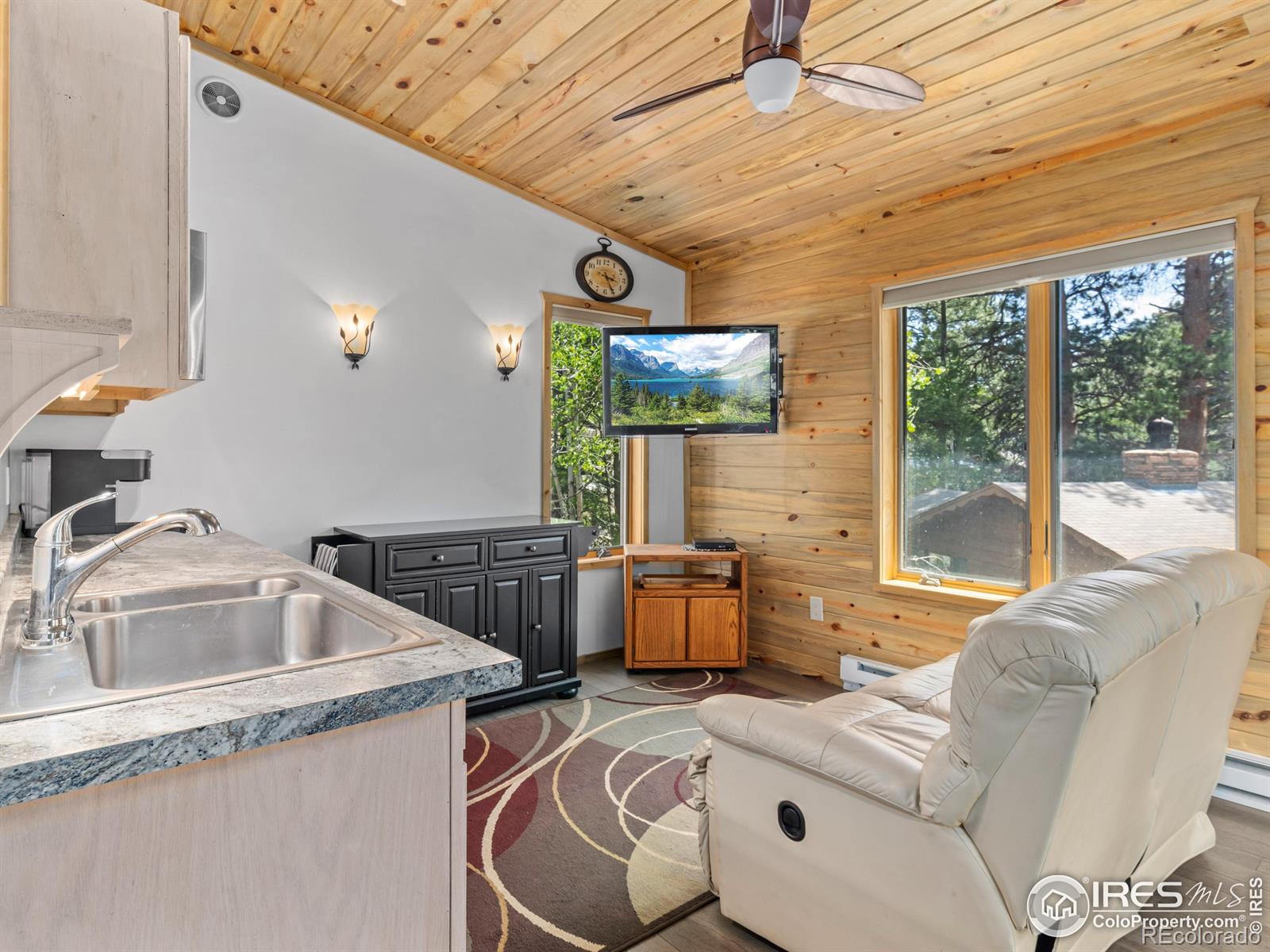 MLS Image #24 for 135  canyon river road,drake, Colorado