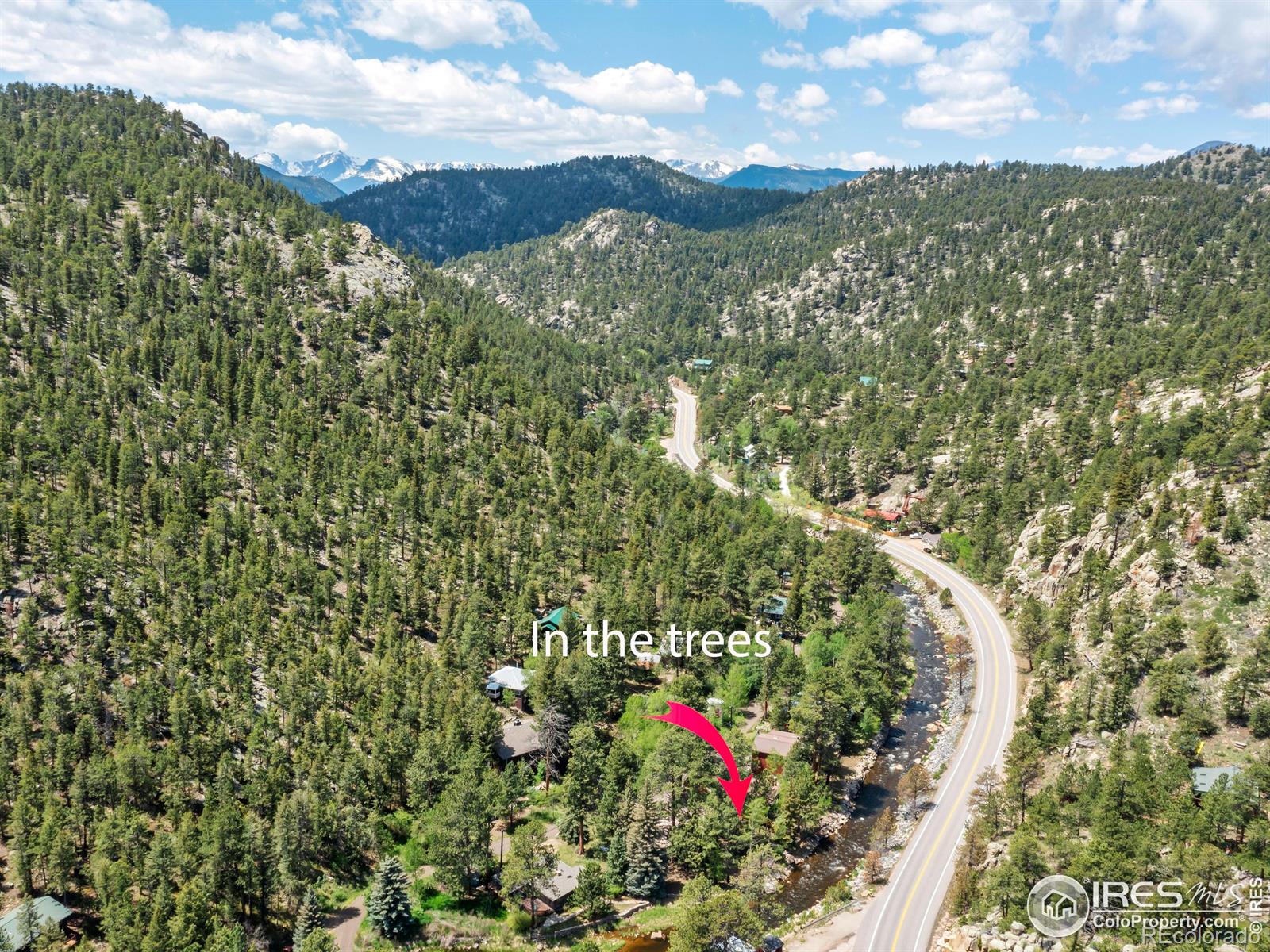 MLS Image #32 for 135  canyon river road,drake, Colorado