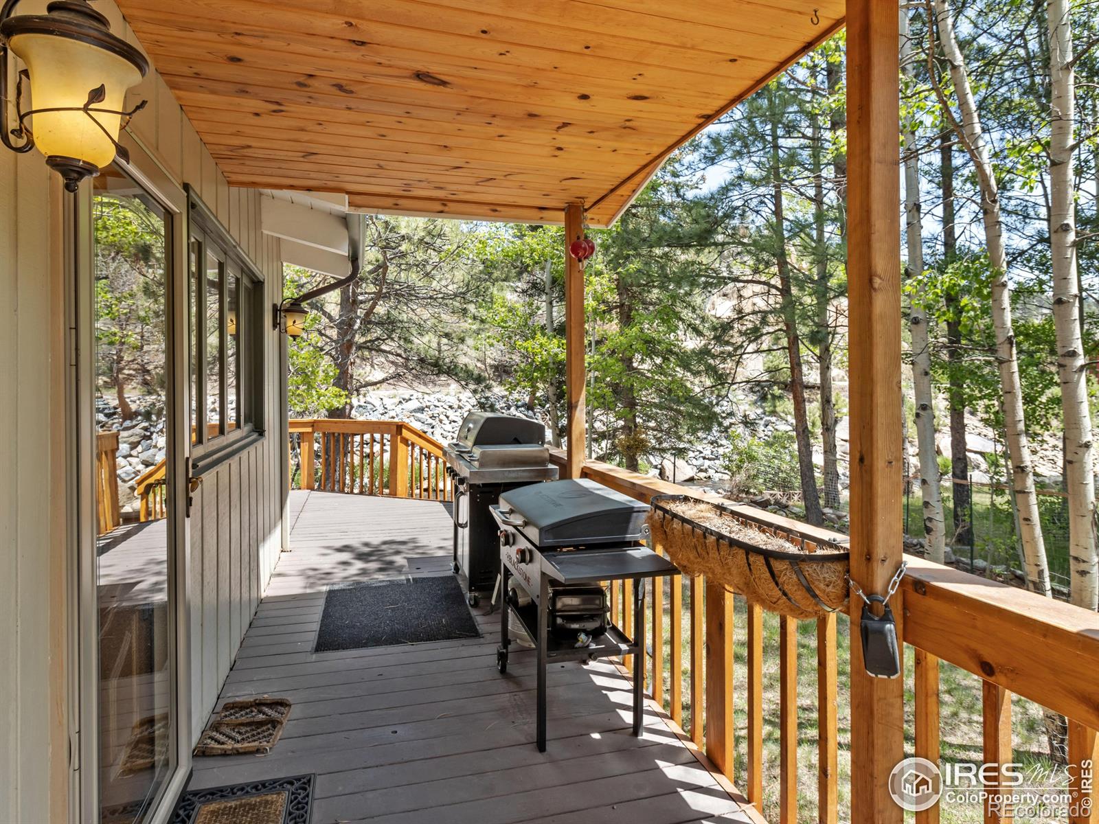 MLS Image #4 for 135  canyon river road,drake, Colorado