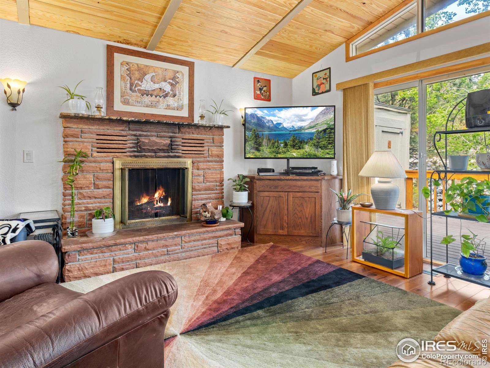 MLS Image #6 for 135  canyon river road,drake, Colorado