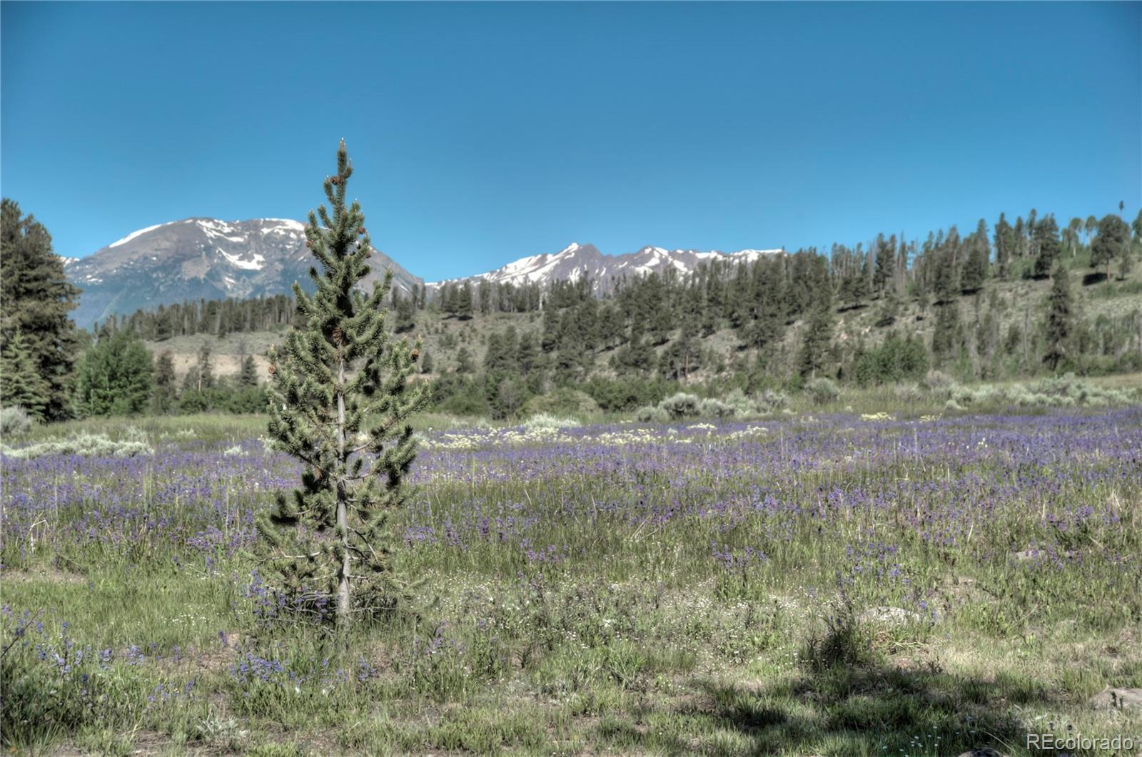 MLS Image #30 for 21650  us highway 6 ,dillon, Colorado