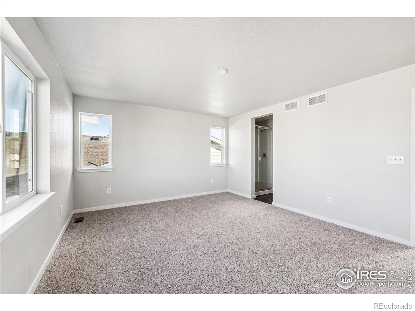 MLS Image #12 for 4347  caramel street,timnath, Colorado