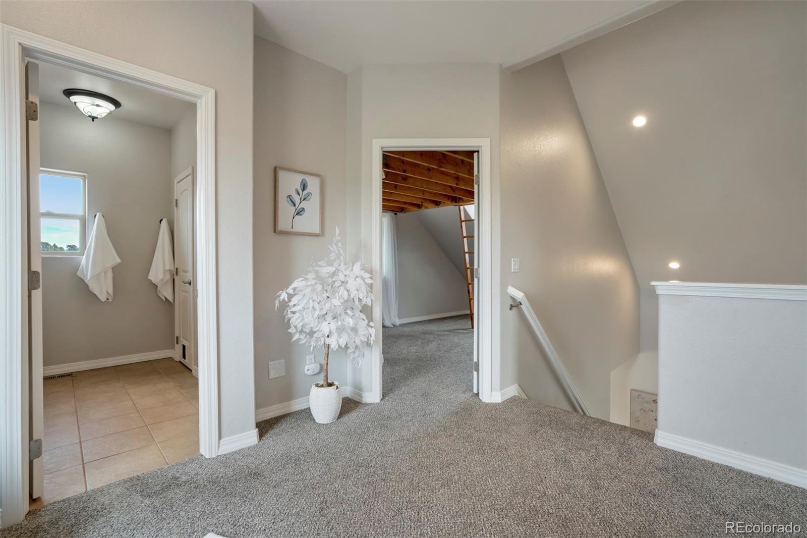 MLS Image #13 for 15580  rigge court,elbert, Colorado