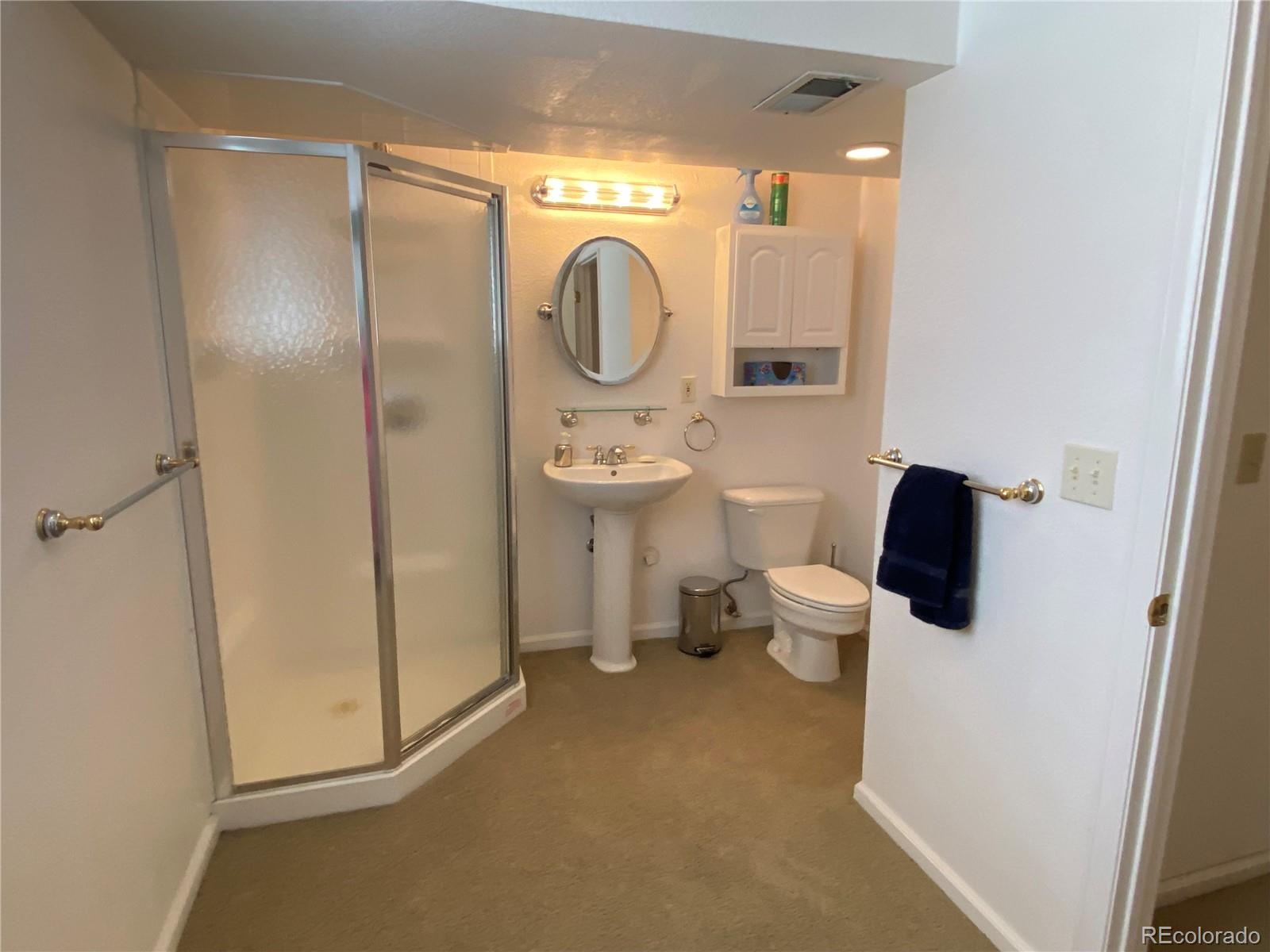 MLS Image #26 for 540 s forest street,denver, Colorado