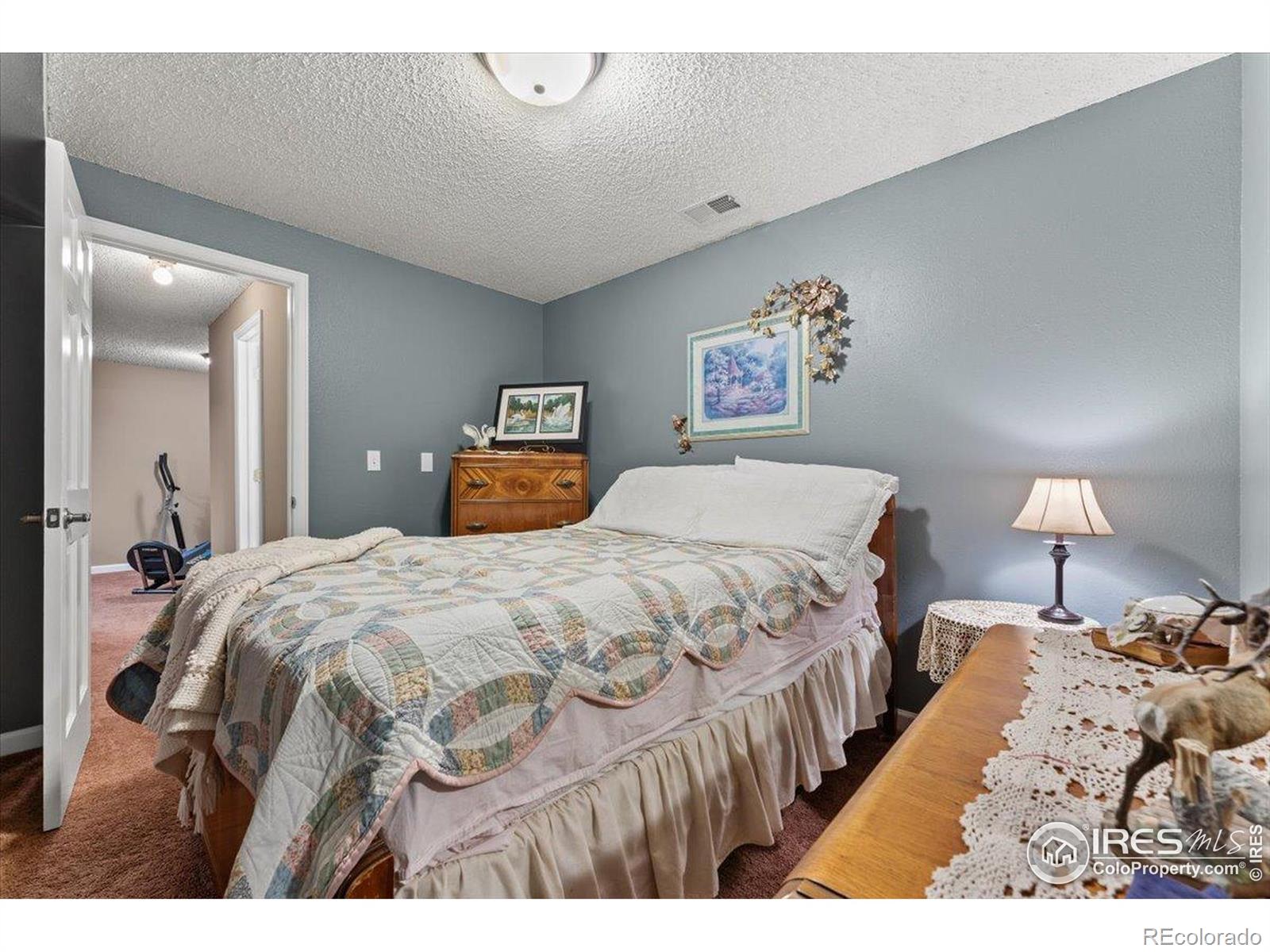 MLS Image #19 for 1021  pinyon drive,windsor, Colorado