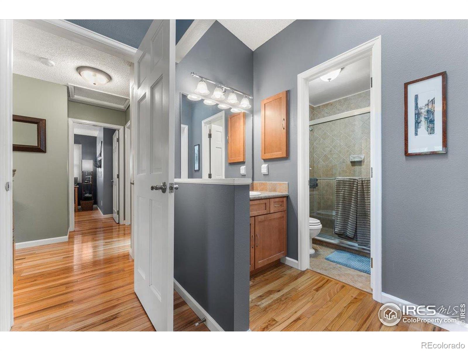 MLS Image #20 for 1021  pinyon drive,windsor, Colorado