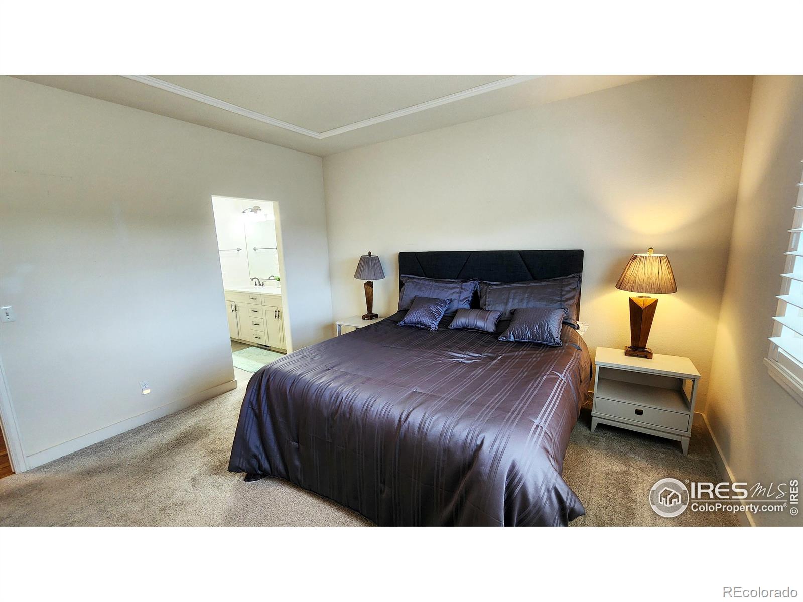 MLS Image #12 for 451  clubhouse court,loveland, Colorado