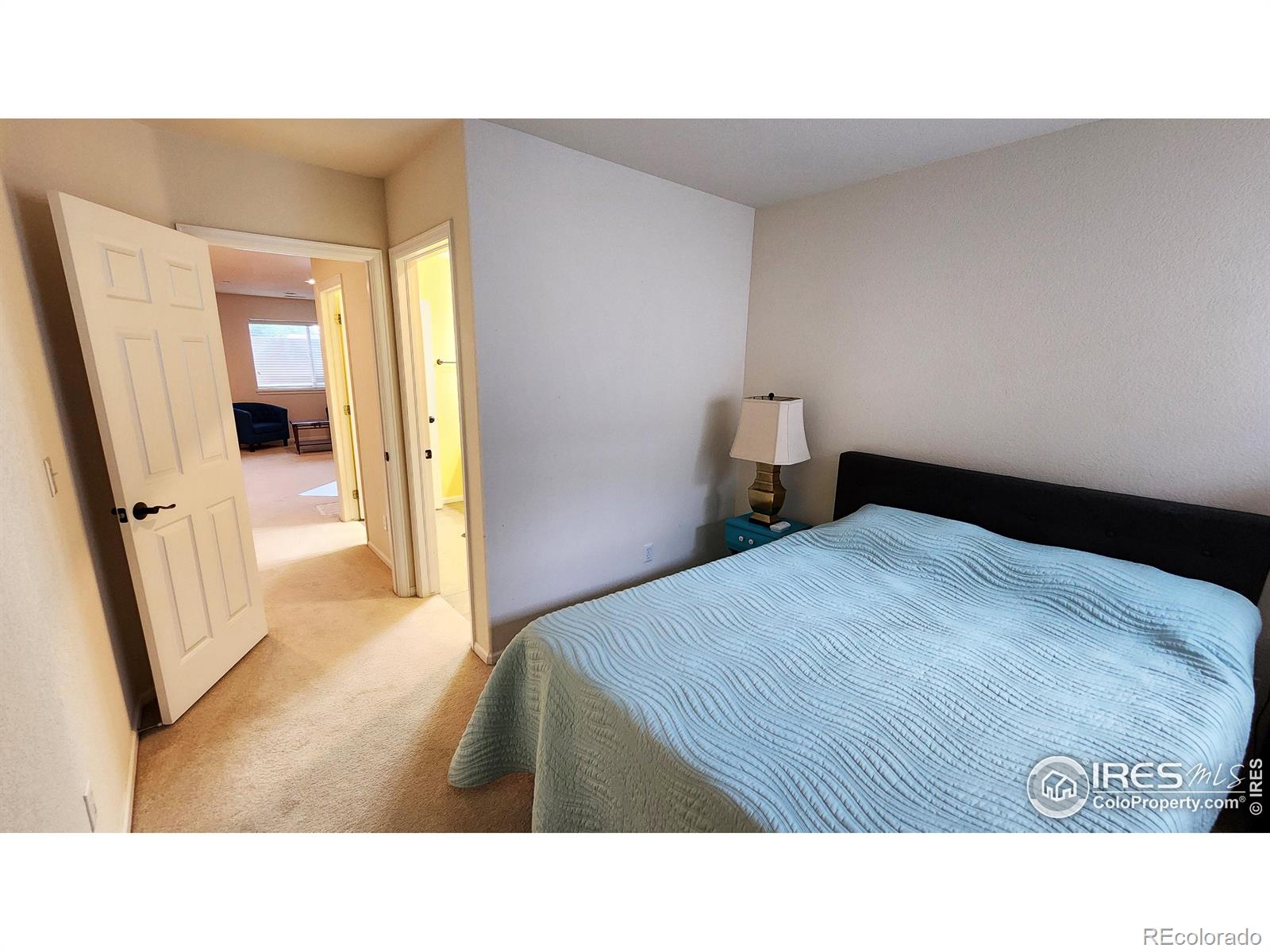 MLS Image #25 for 451  clubhouse court,loveland, Colorado