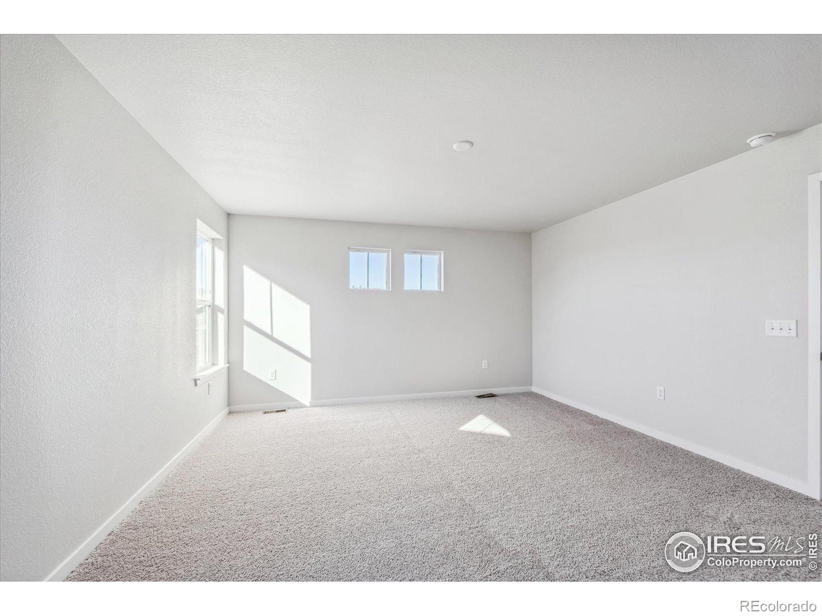 MLS Image #19 for 4418  trader street,timnath, Colorado