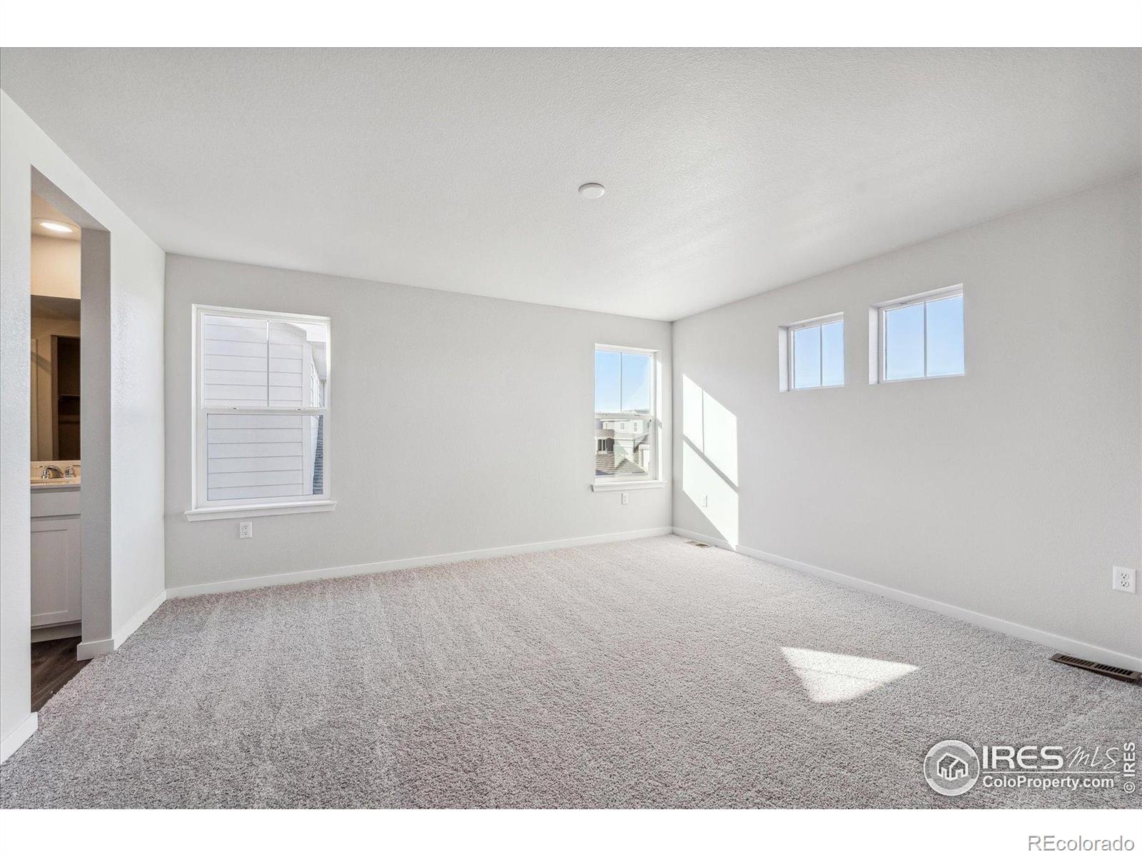 MLS Image #20 for 4418  trader street,timnath, Colorado