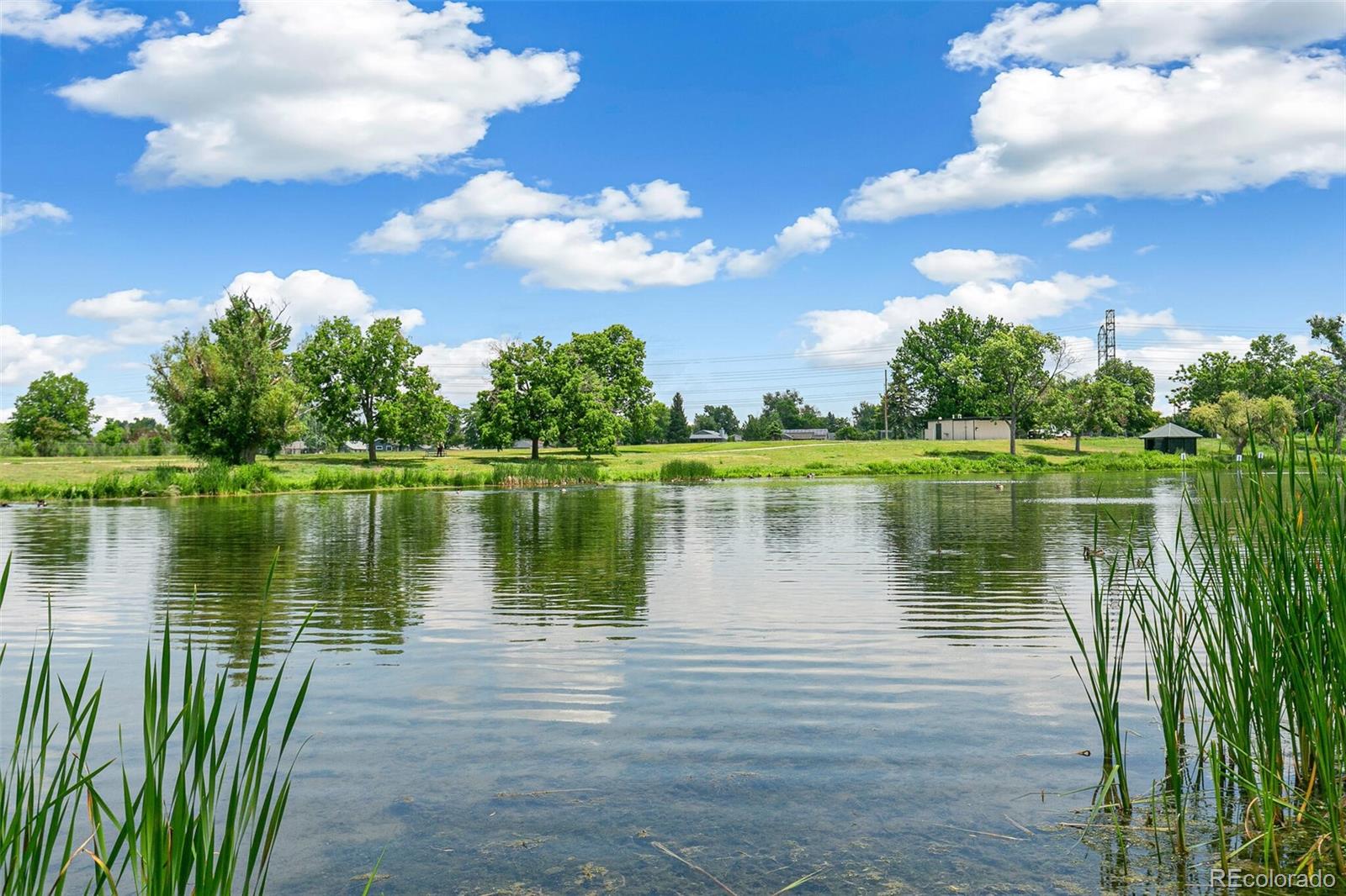 MLS Image #38 for 1250 s monaco parkway,denver, Colorado