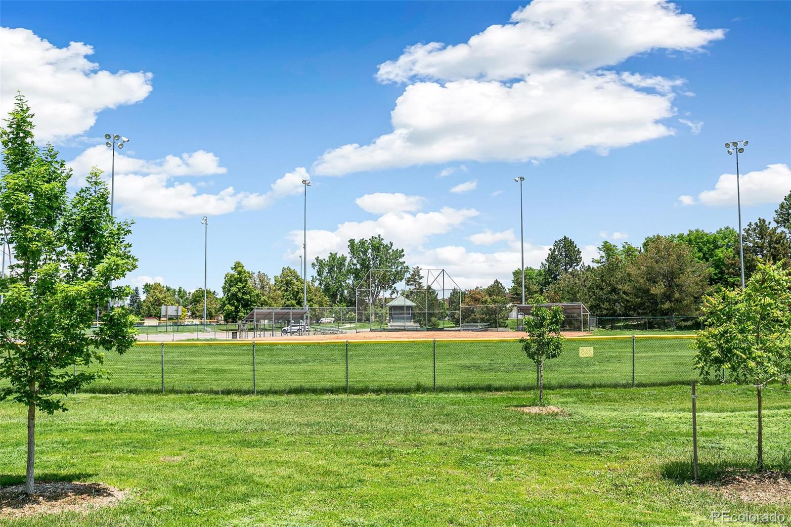 MLS Image #40 for 1250 s monaco parkway,denver, Colorado