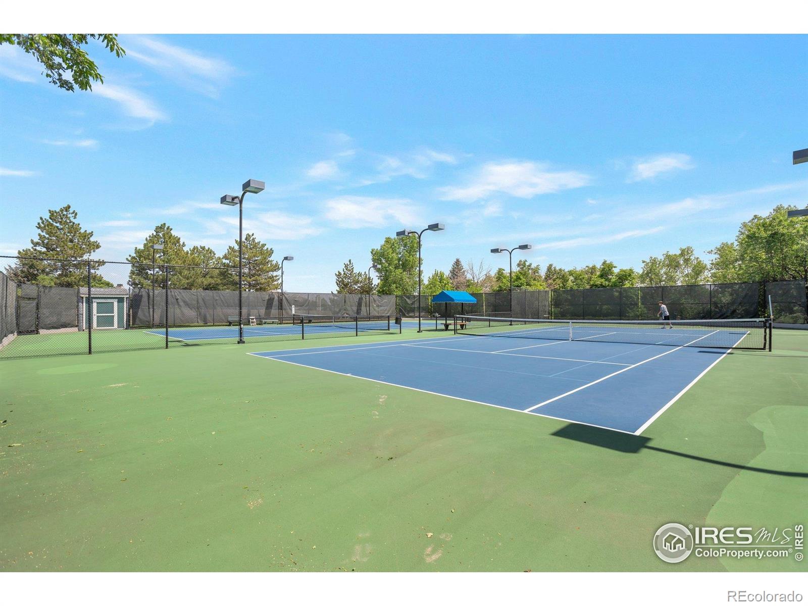 MLS Image #27 for 3223  castle peak avenue,superior, Colorado