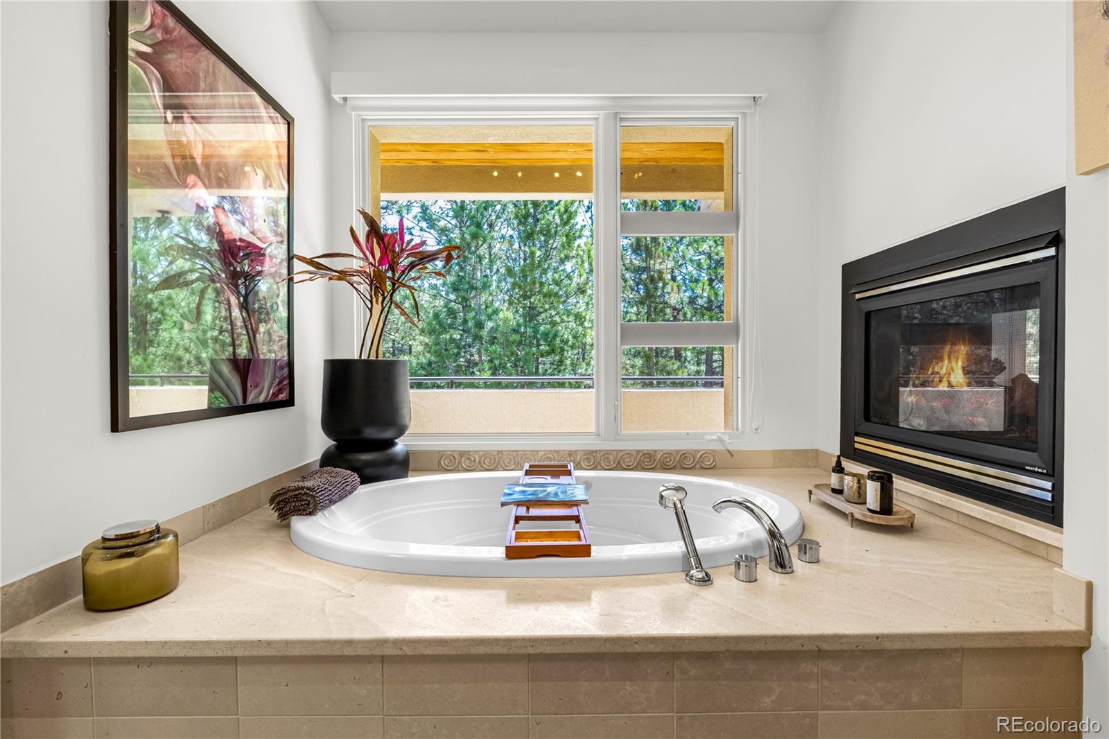 MLS Image #22 for 1250  dolan drive,monument, Colorado