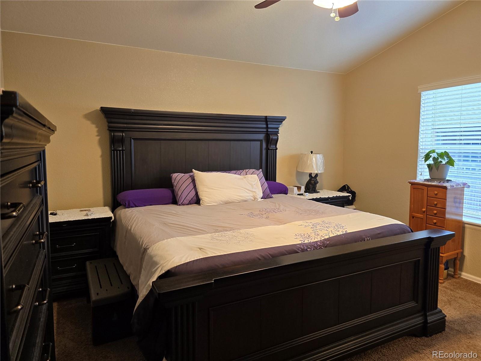 MLS Image #17 for 5131  delphinium circle,brighton, Colorado