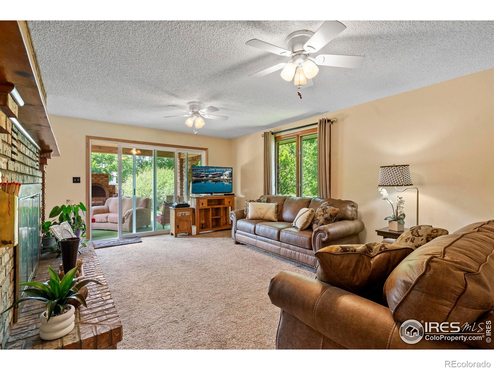 MLS Image #11 for 2742  daffodil place,loveland, Colorado