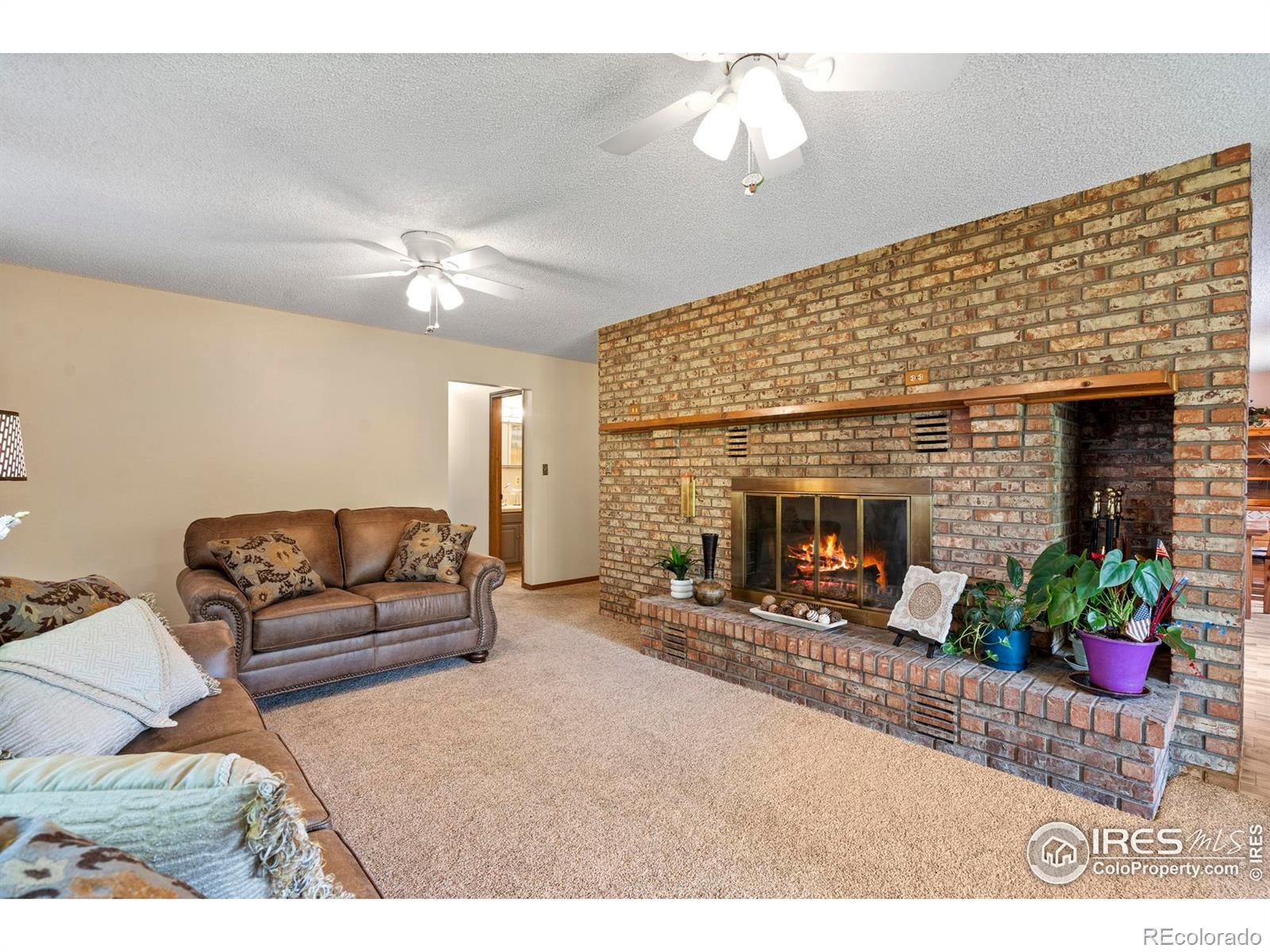 MLS Image #22 for 2742  daffodil place,loveland, Colorado