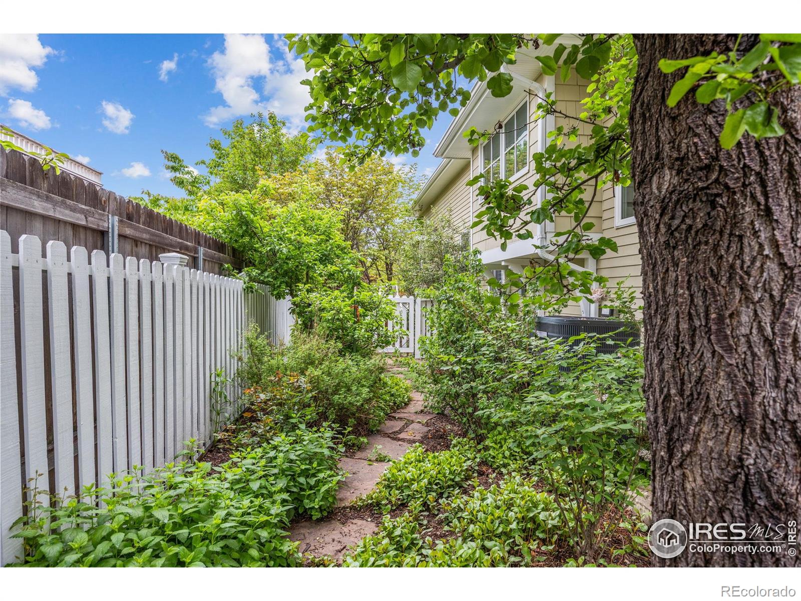 MLS Image #10 for 1509  poplar avenue,boulder, Colorado