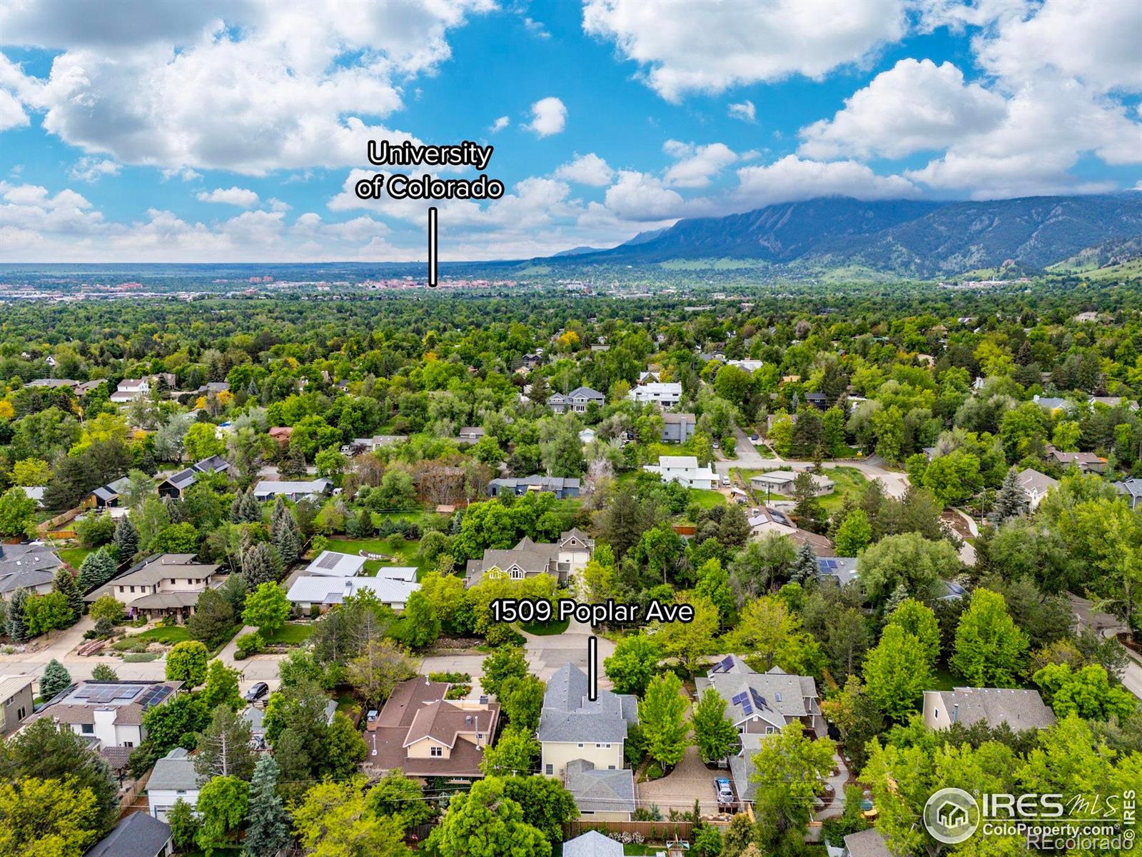 MLS Image #13 for 1509  poplar avenue,boulder, Colorado