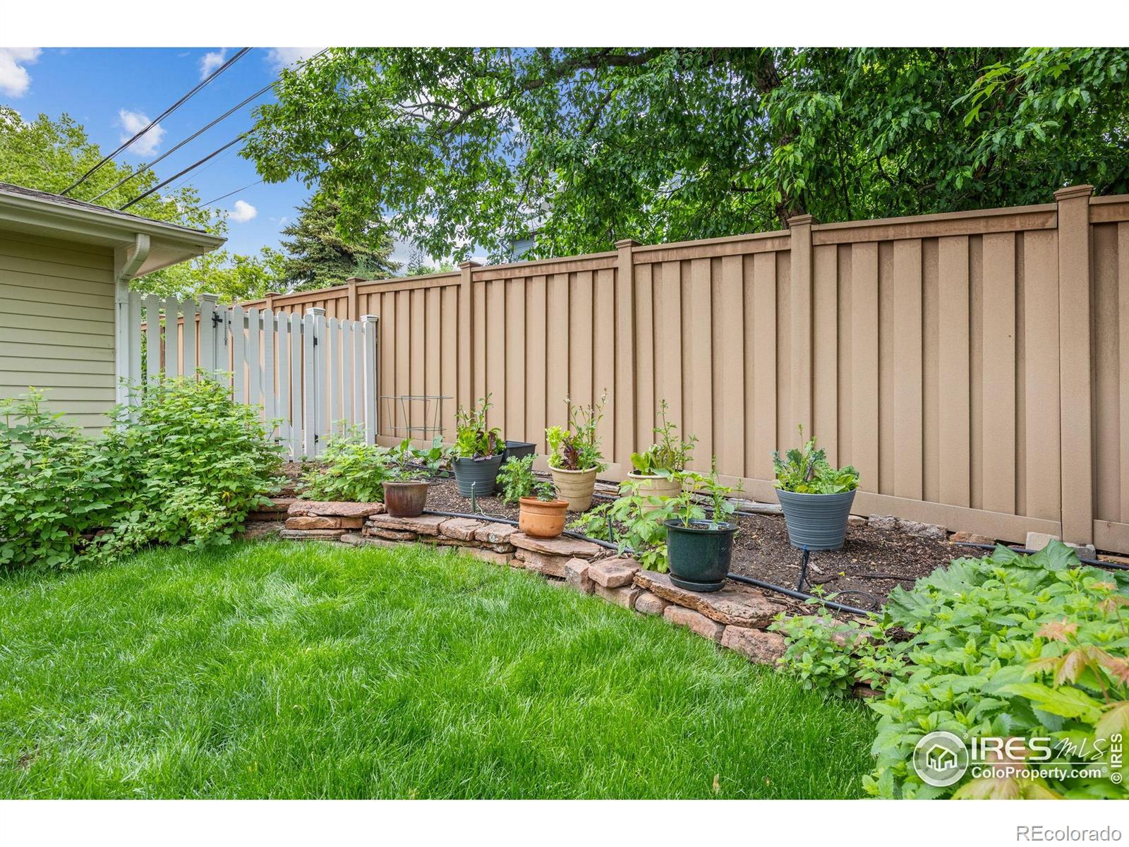 MLS Image #9 for 1509  poplar avenue,boulder, Colorado