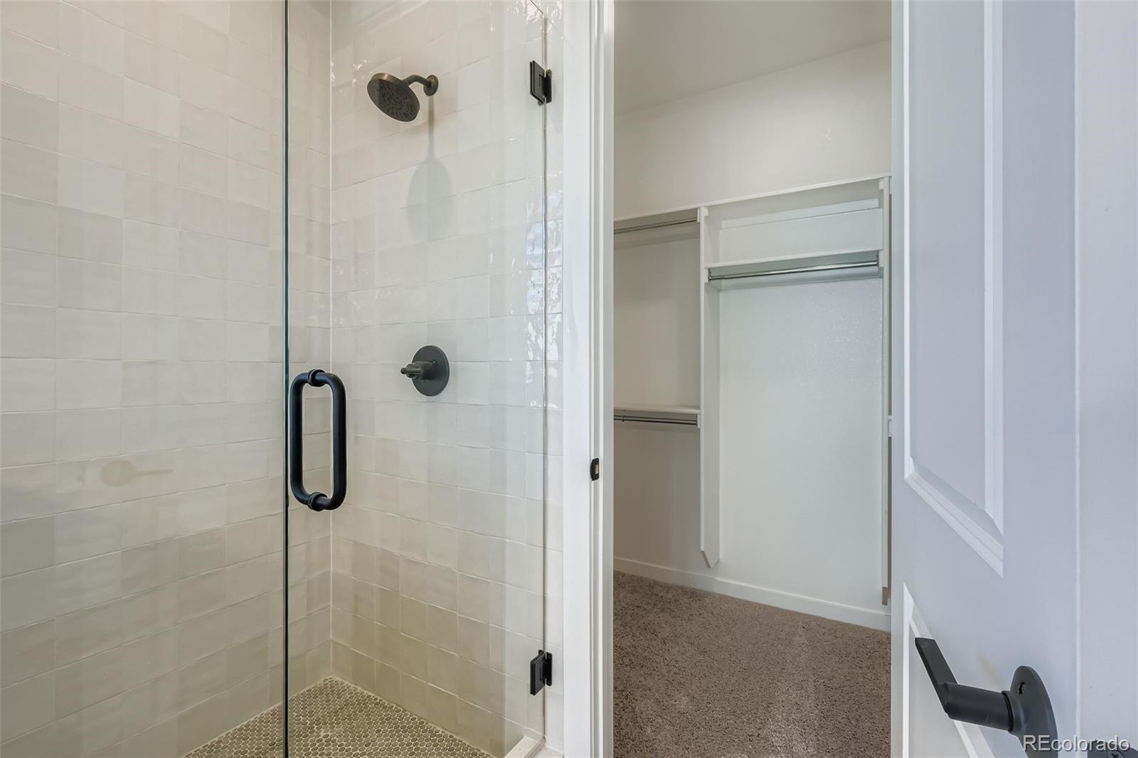 MLS Image #13 for 8436  william downing drive,colorado springs, Colorado