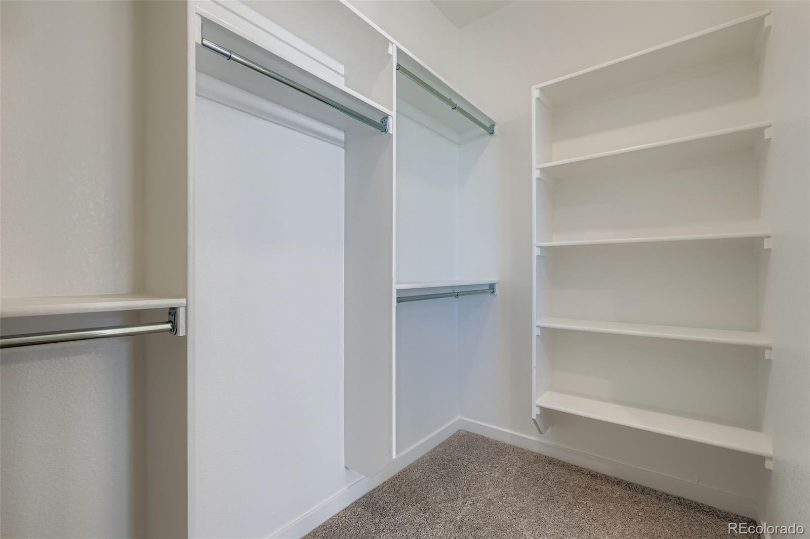 MLS Image #14 for 8436  william downing drive,colorado springs, Colorado