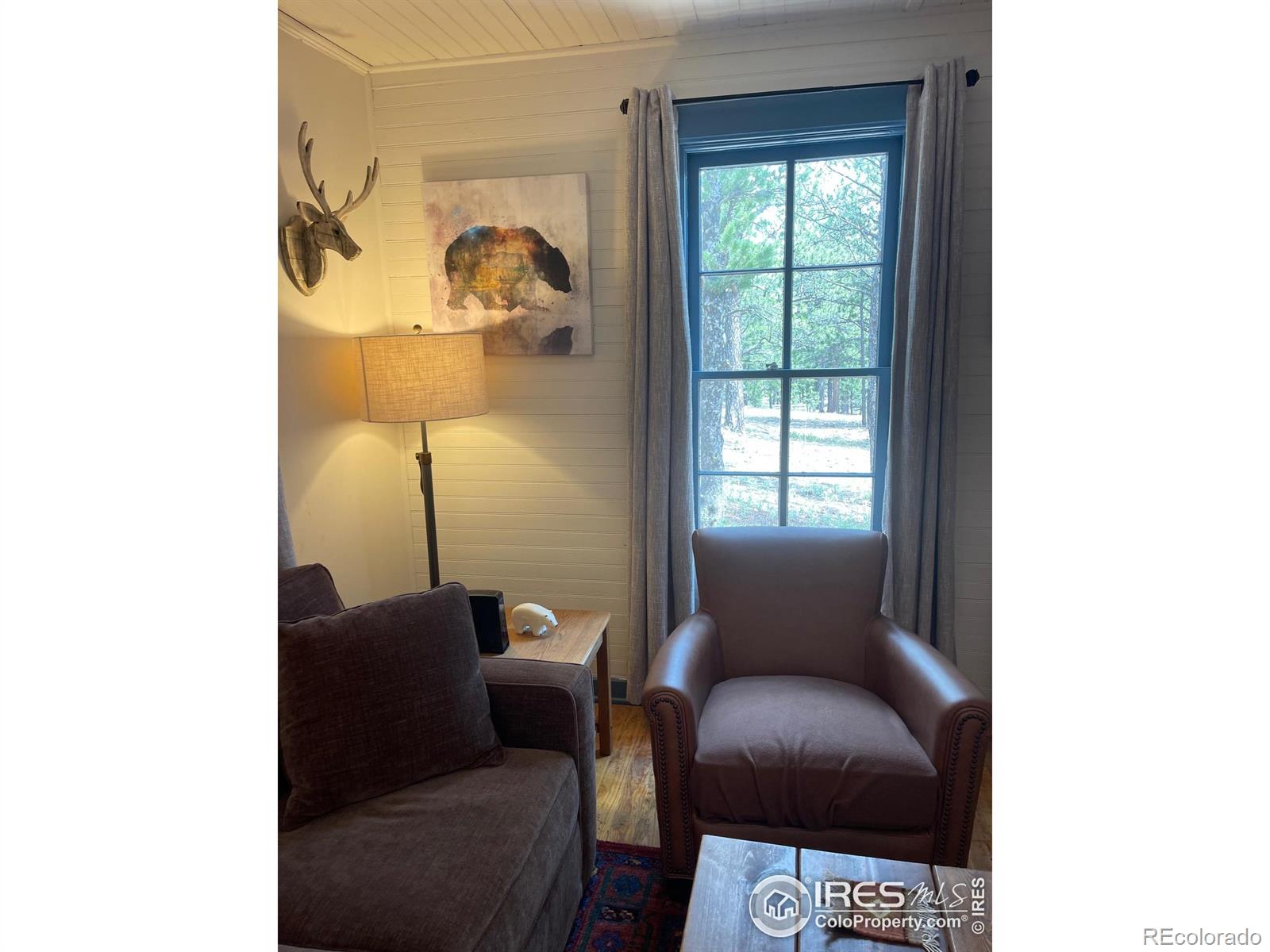 MLS Image #13 for 503  county rd 113n road,allenspark, Colorado