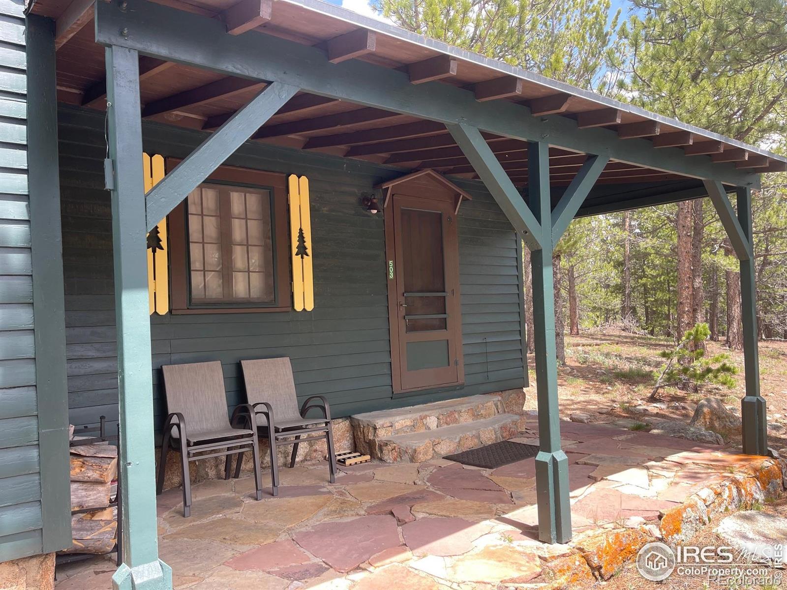 MLS Image #3 for 503  county rd 113n road,allenspark, Colorado