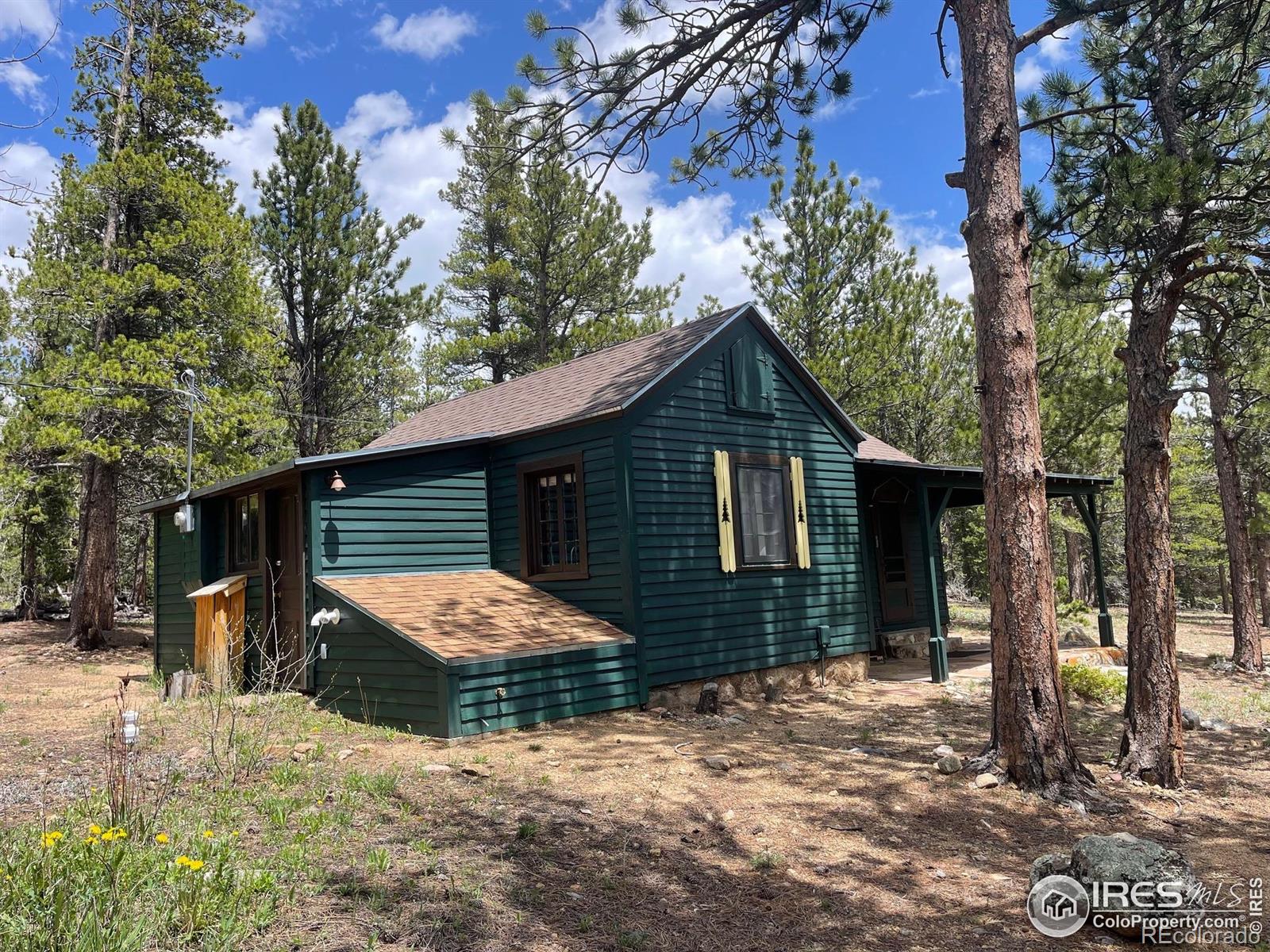 MLS Image #4 for 503  county rd 113n road,allenspark, Colorado